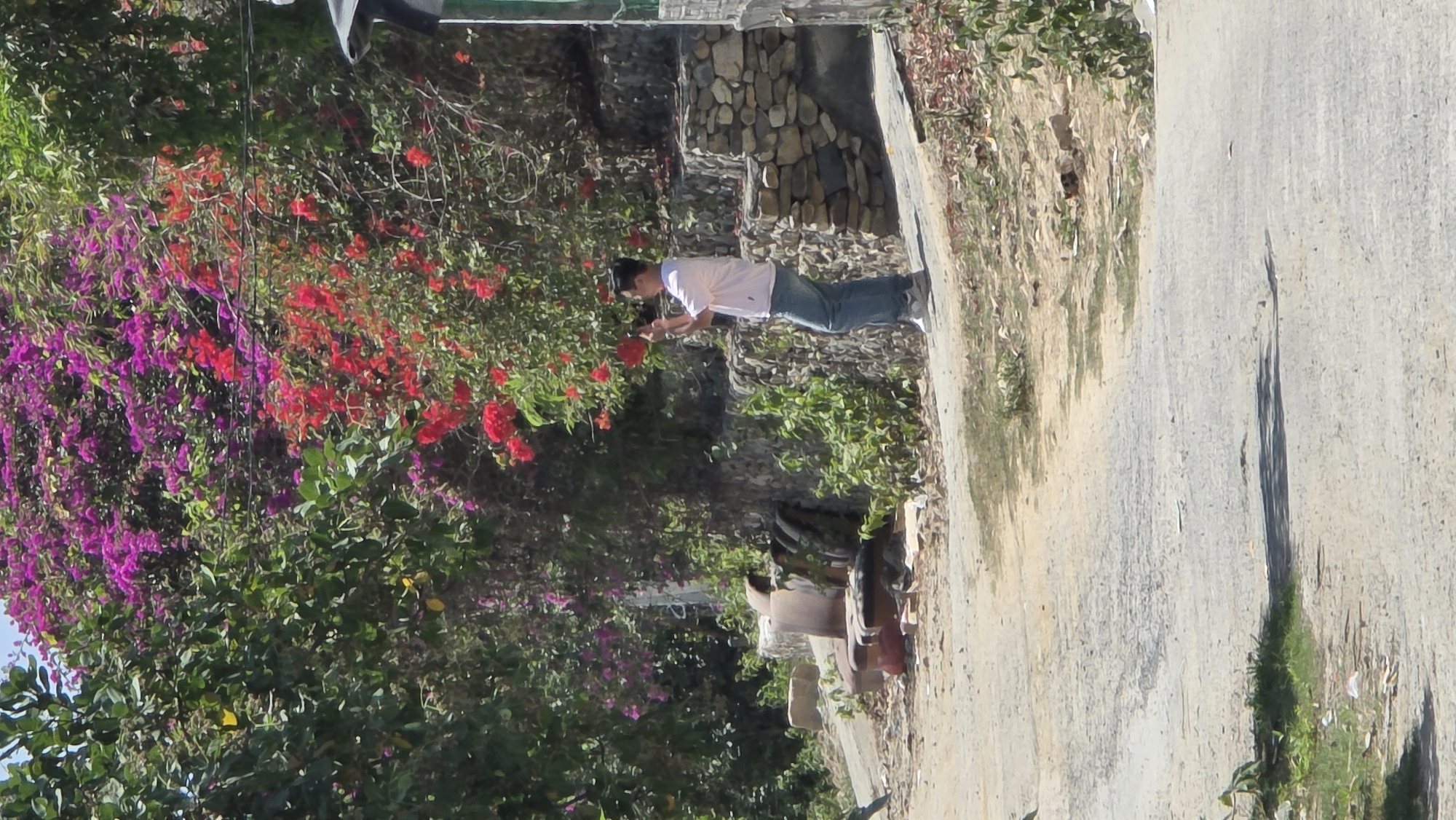Man photographs nature at Vietnamese heritage area walkway