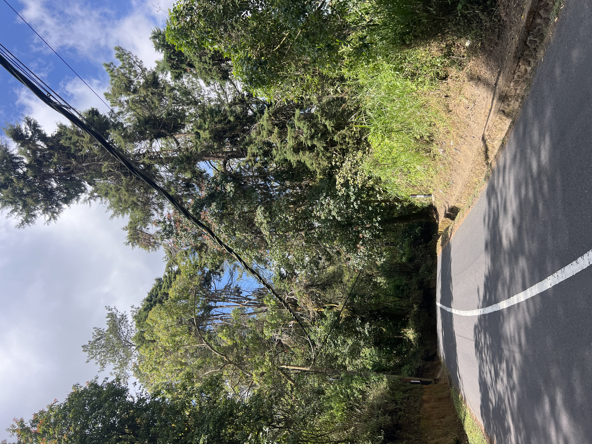 Riding the forested mountain roads of Kintamani, Bali
