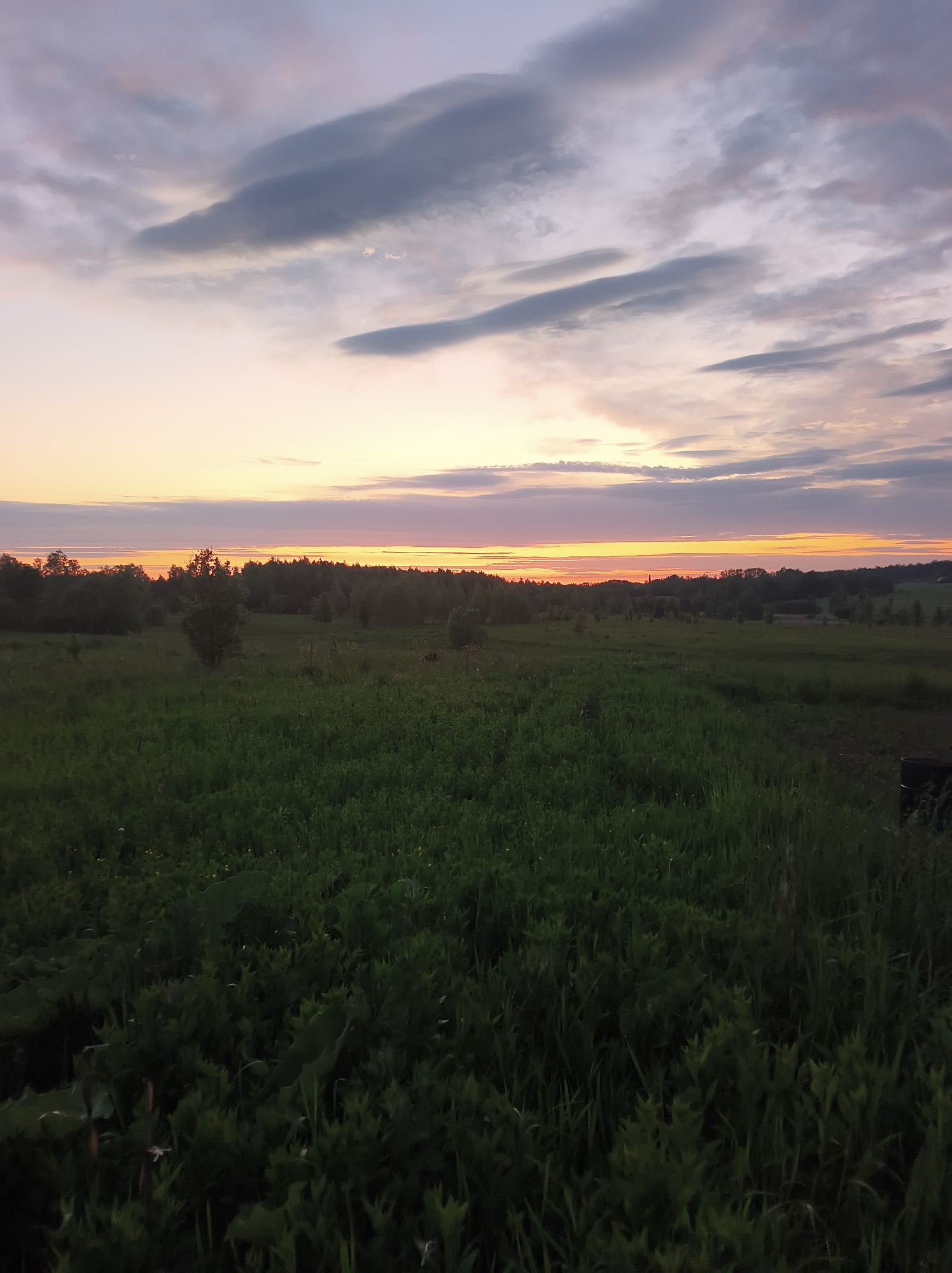 Evening countryside scene captured in Vyshevychi, Ukraine