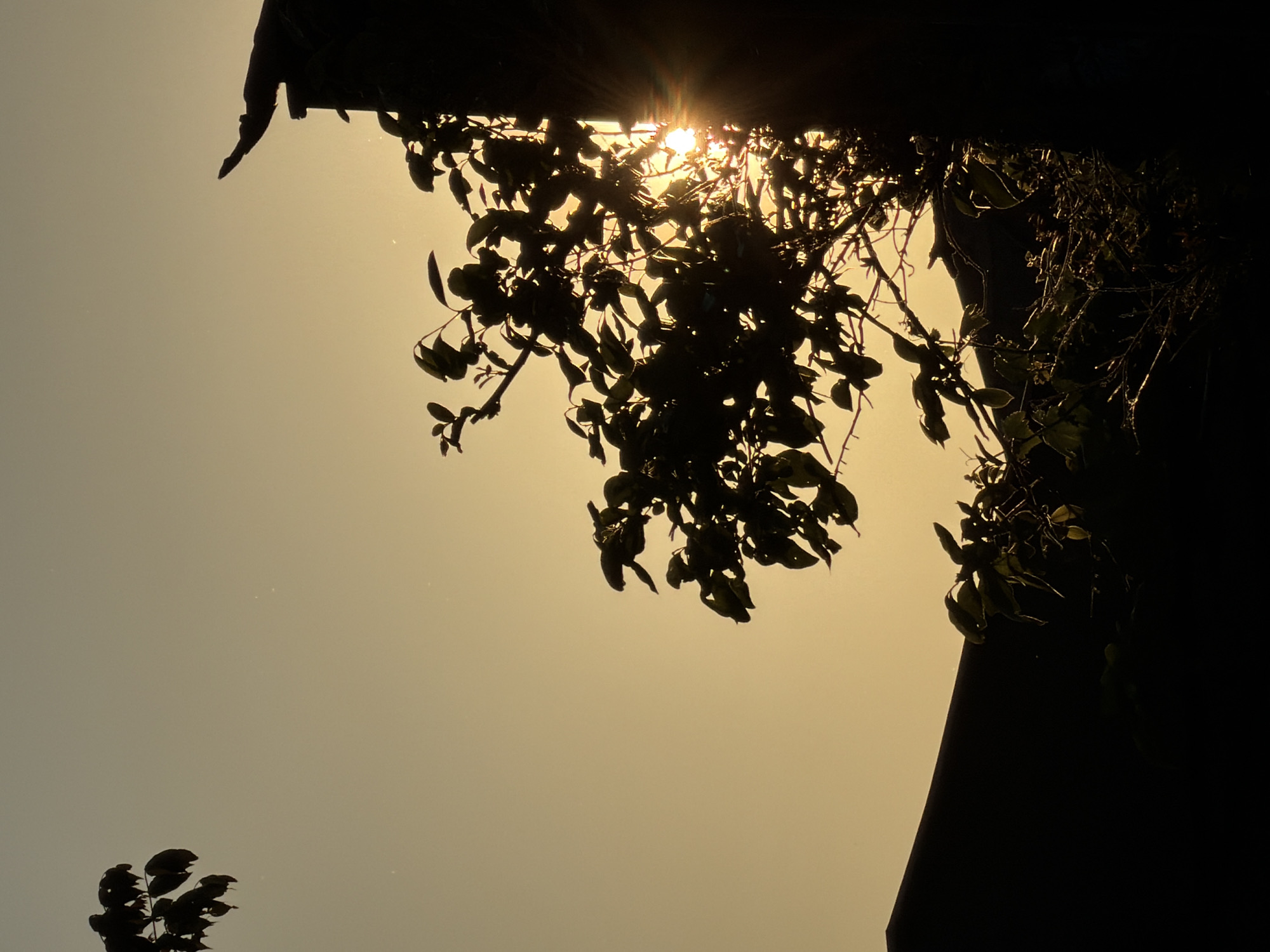 Sunset photography session captured in downtown Tbilisi