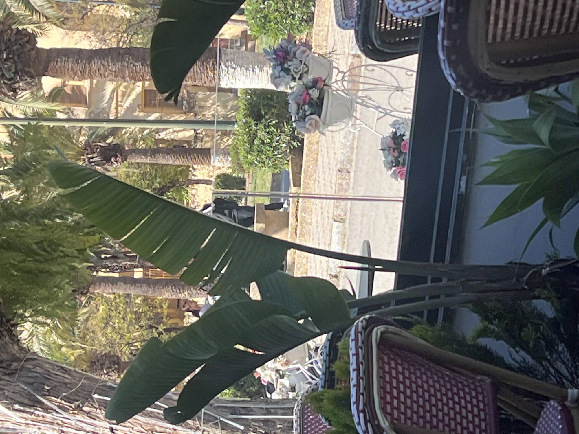 Morning breakfast scene captured in Meknes, Morocco