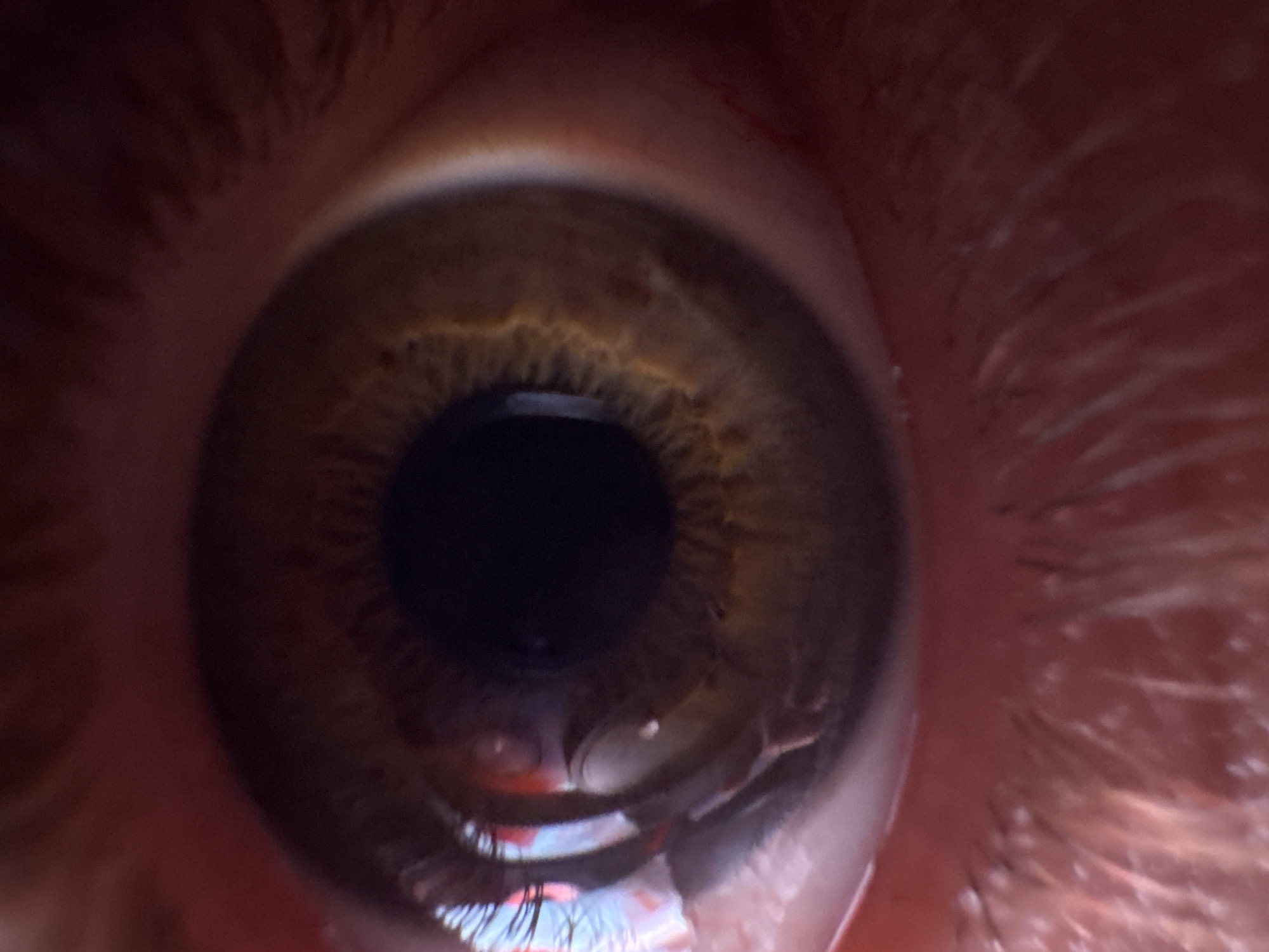Macro eyes, RGB gaming gear, and moody red-lit abstracts