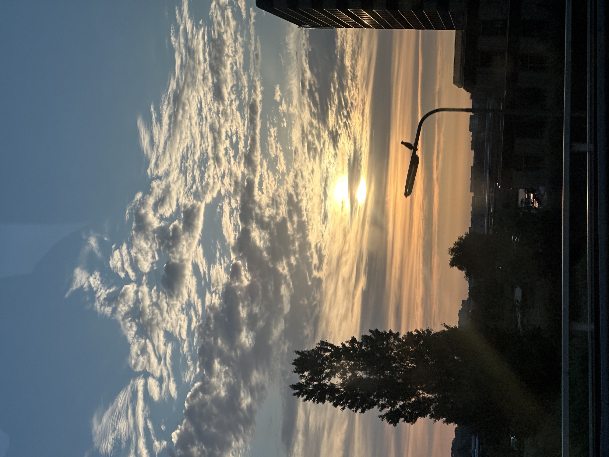 Dusk skyline rolls past on a Dutch evening drive