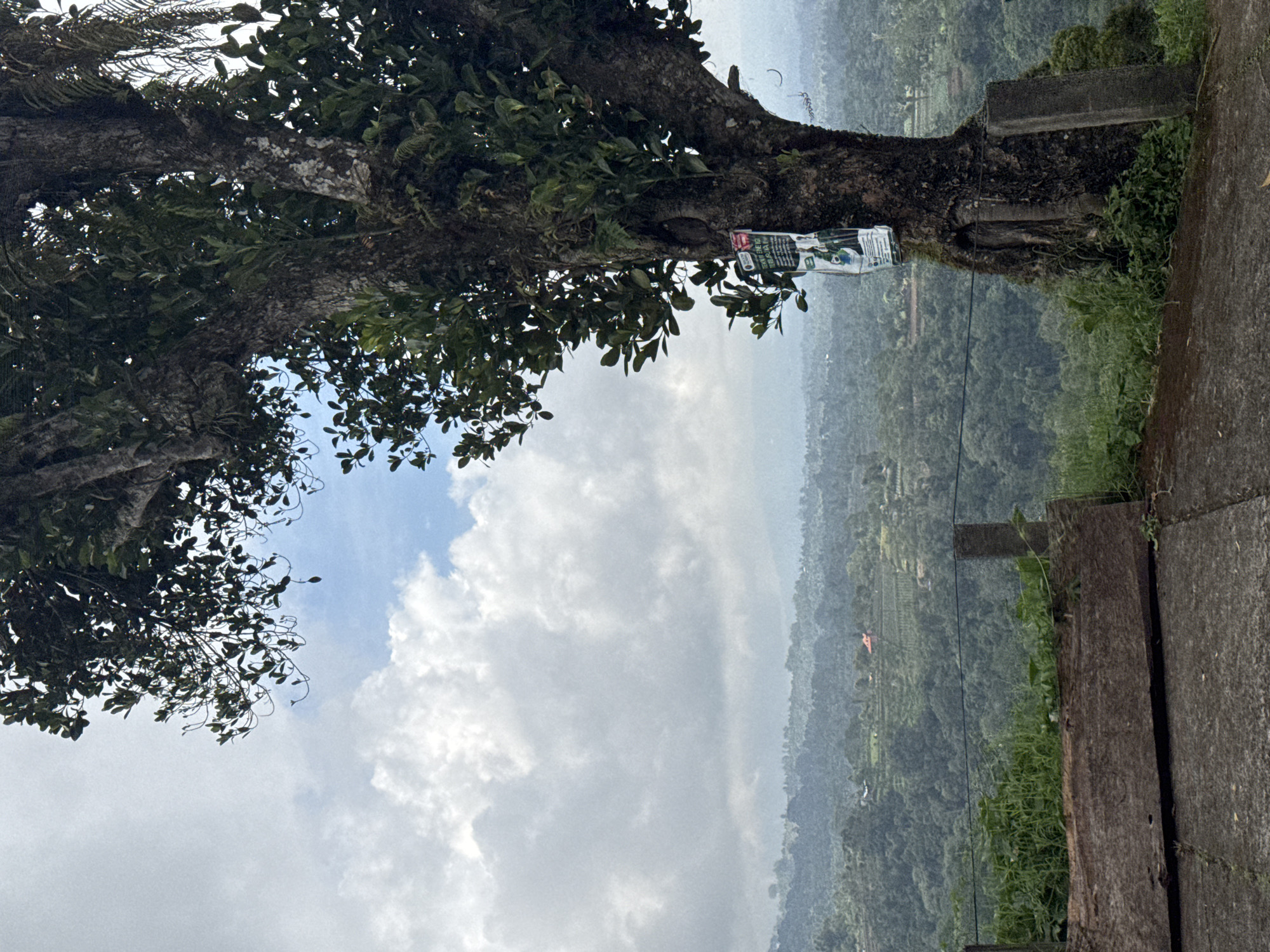 Roadside Documentation of Terraced Mountain Valley Scene