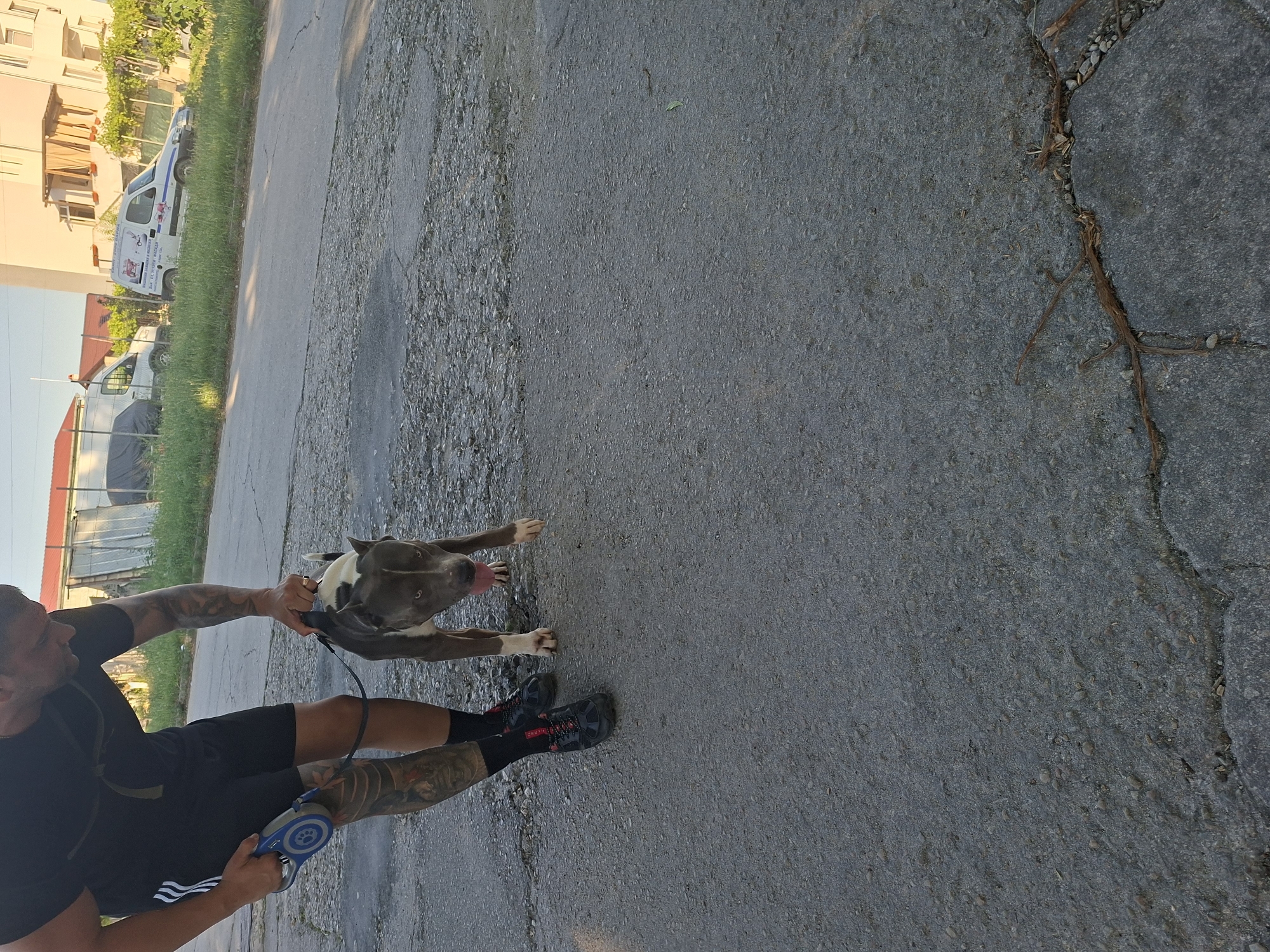 Hanging out with a pit bull in Aksakovo, Bulgaria