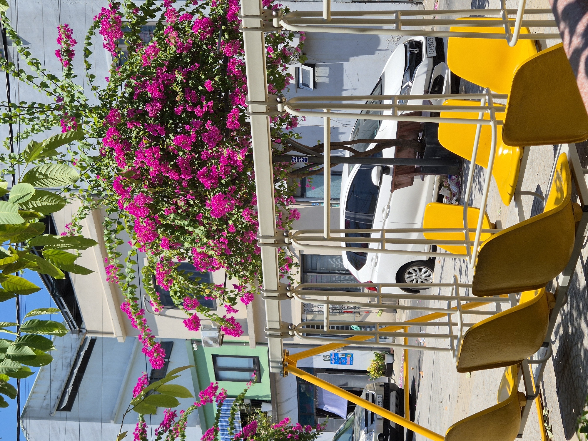 Bougainvillea streets and energy drinks in Da Nang