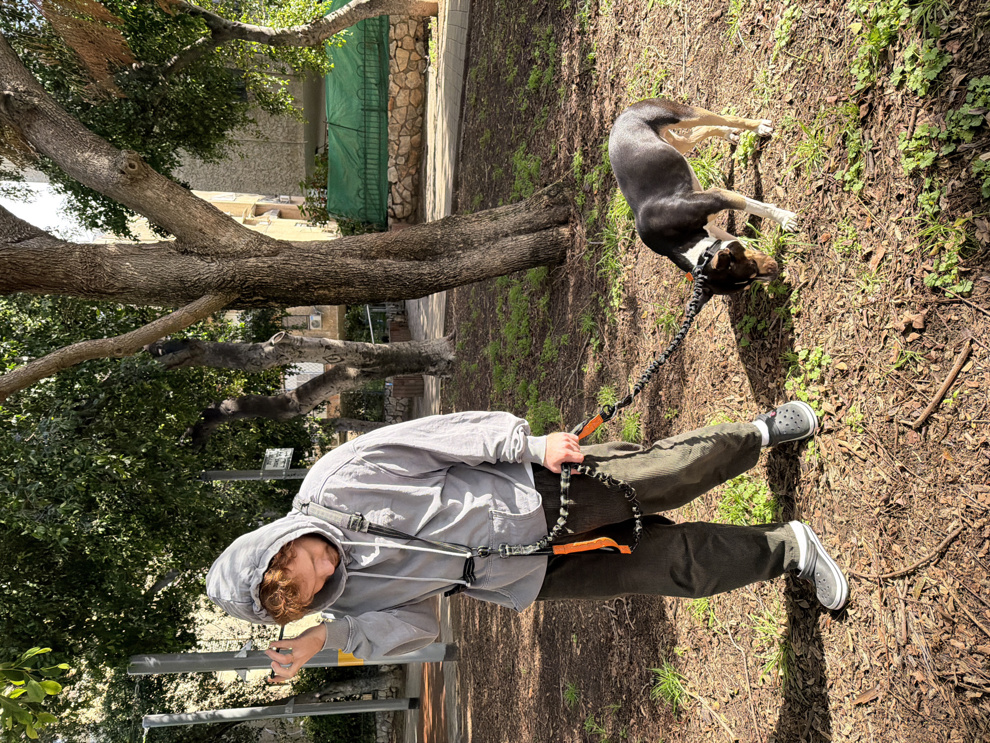 Dog walker enjoys afternoon stroll in Tel Aviv park