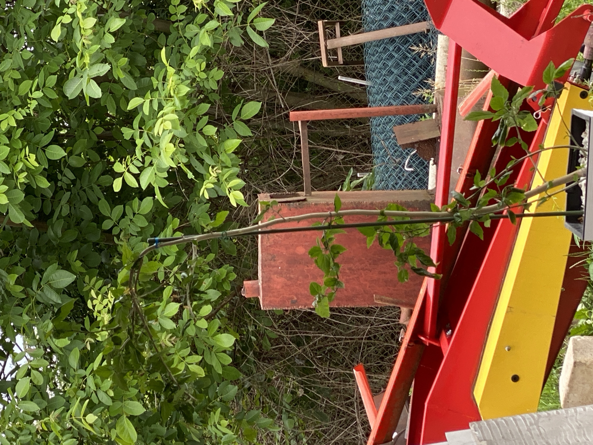 Residential garden and yard documented over 8-minute span