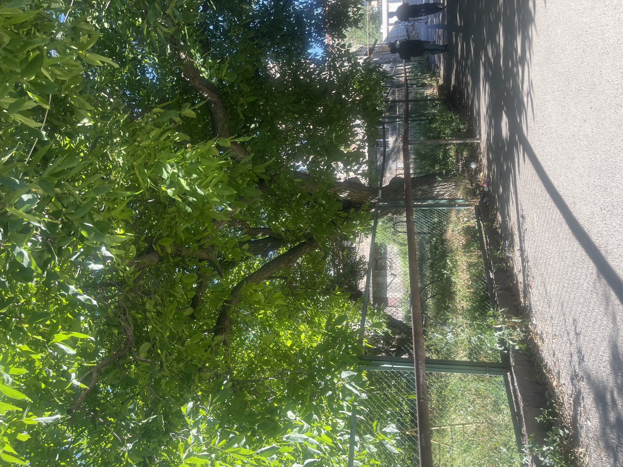 Street-level scenes from Gladzor, Armenia on a sunny afternoon
