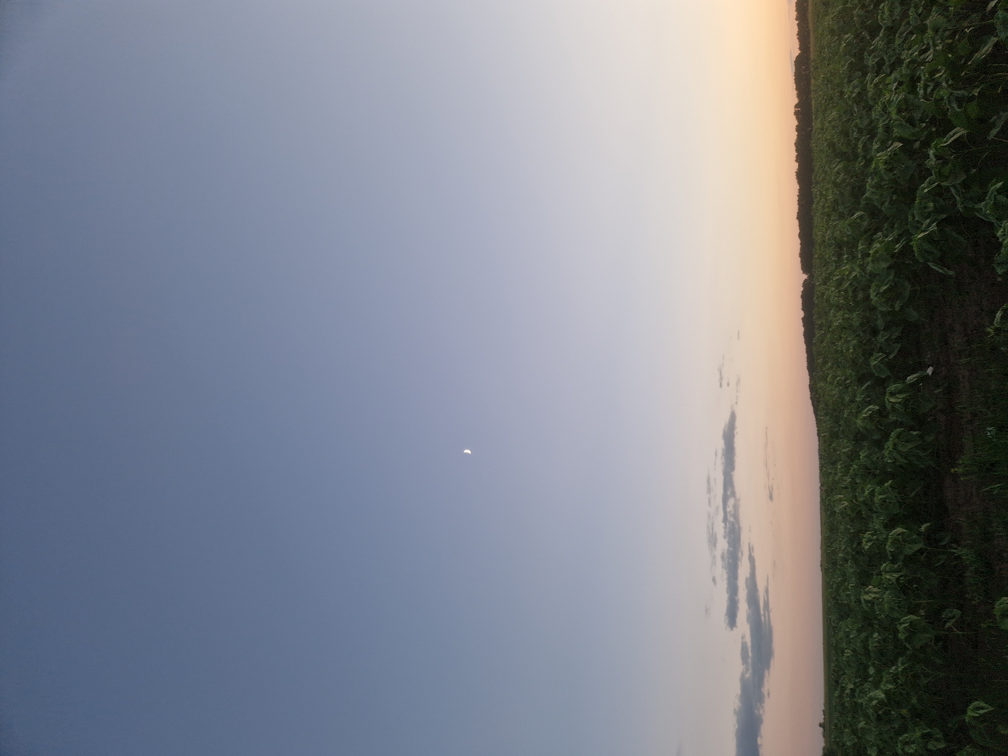 Hilltop evening hang in rural Ukraine, sunflowers and dusk views