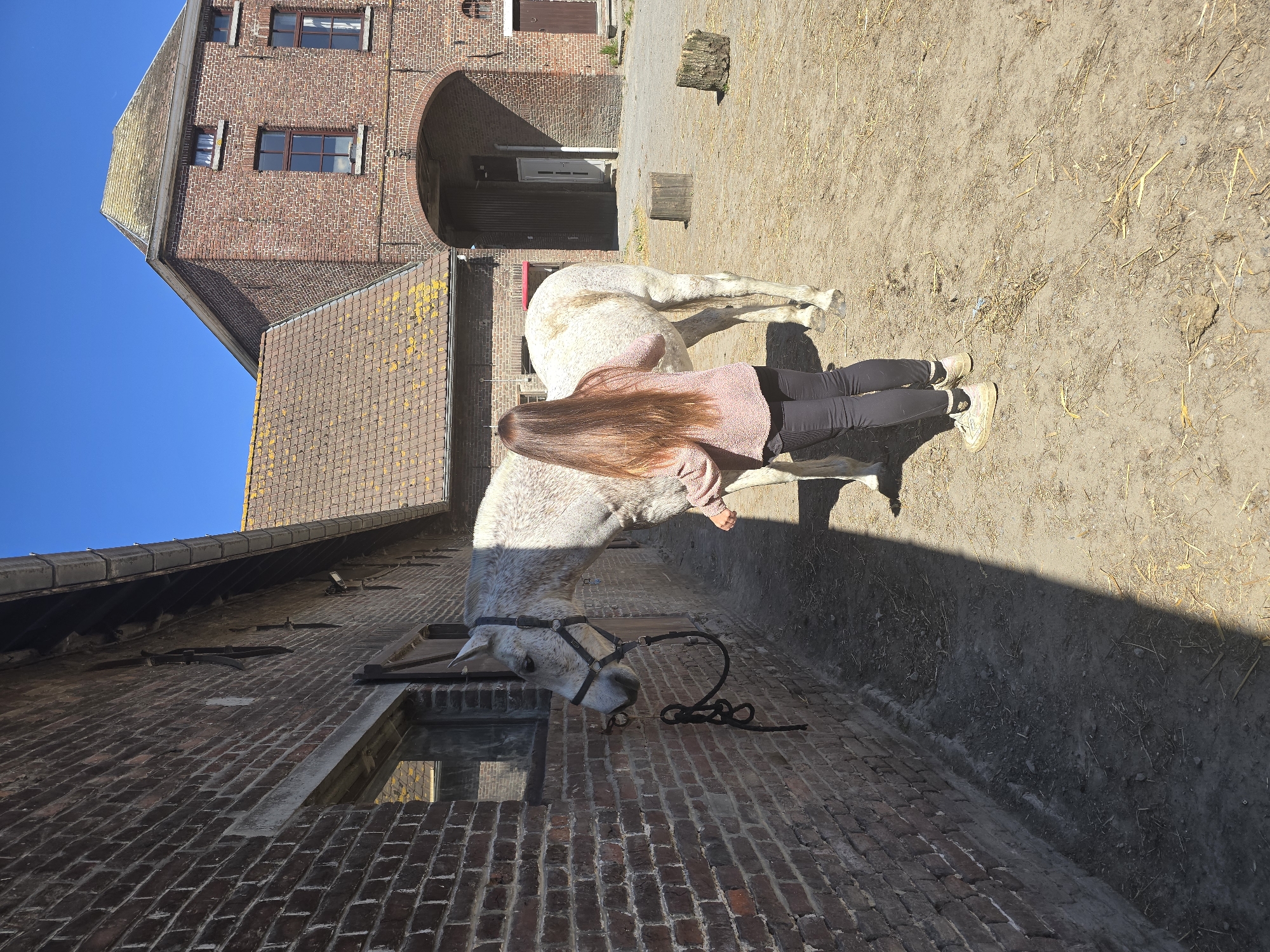 Woman interacts with horses in Belgian village courtyard