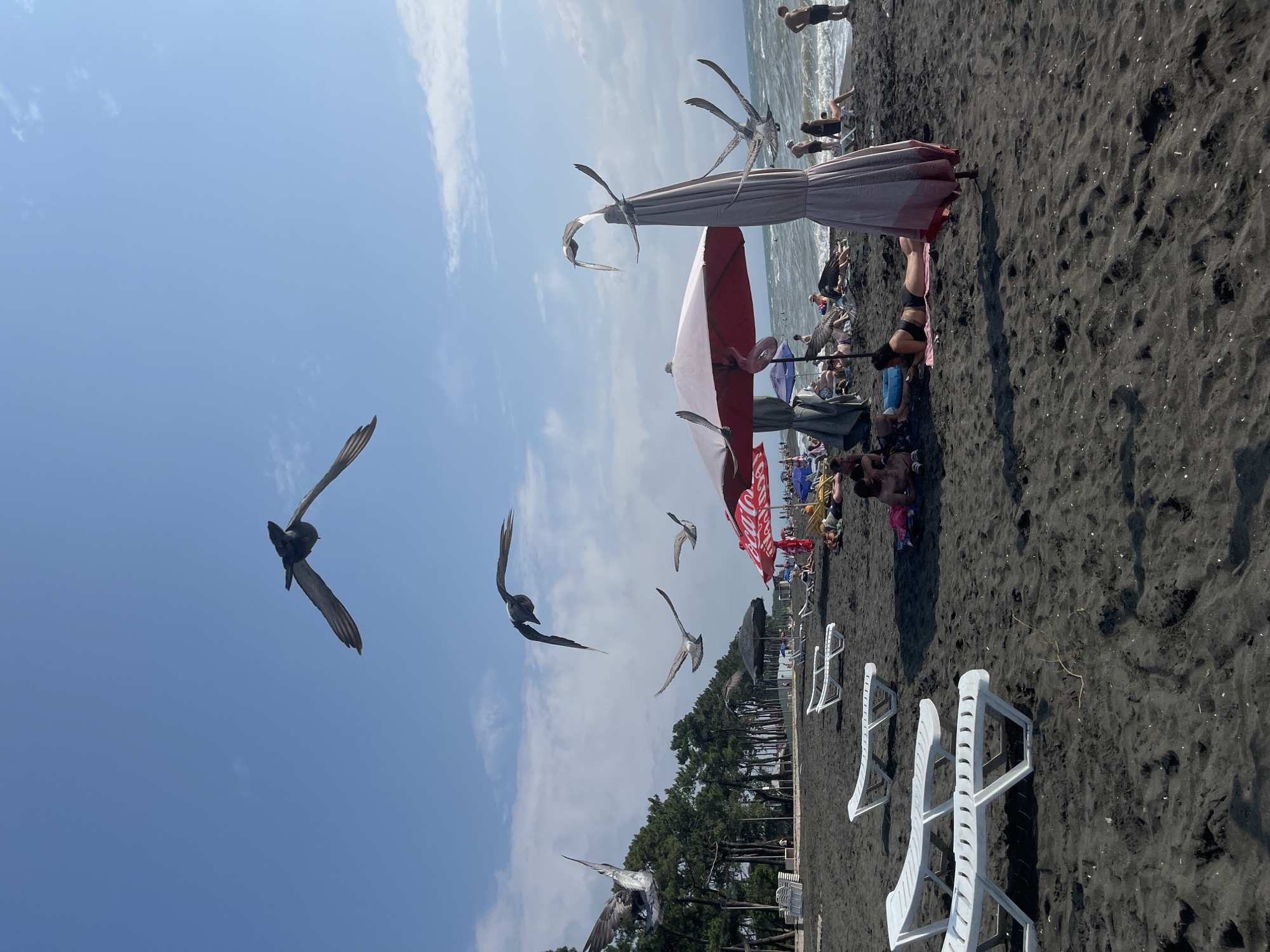 Crowded summer day at Ureki's black sand beach