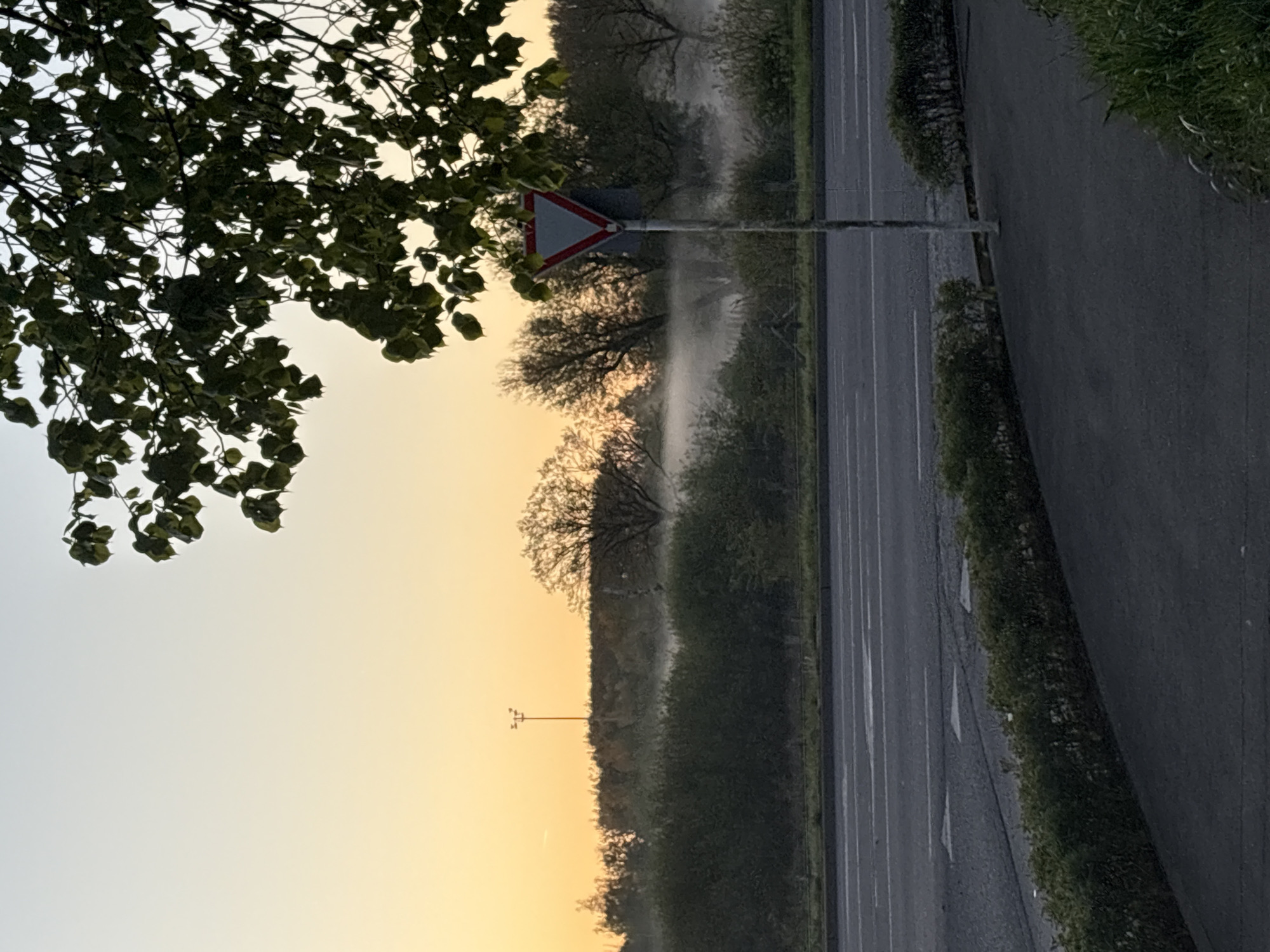 Misty dawn conditions observed on Esch-sur-Alzette roadway
