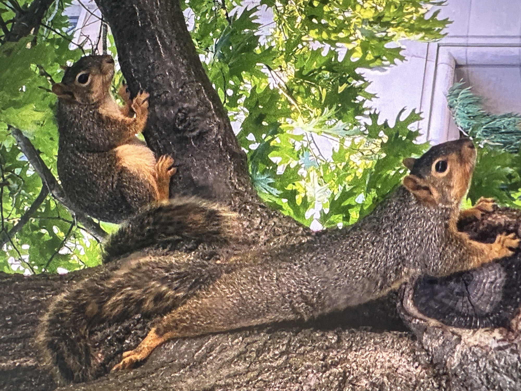 Wildlife, stormy skies, and an odd art shot from New York