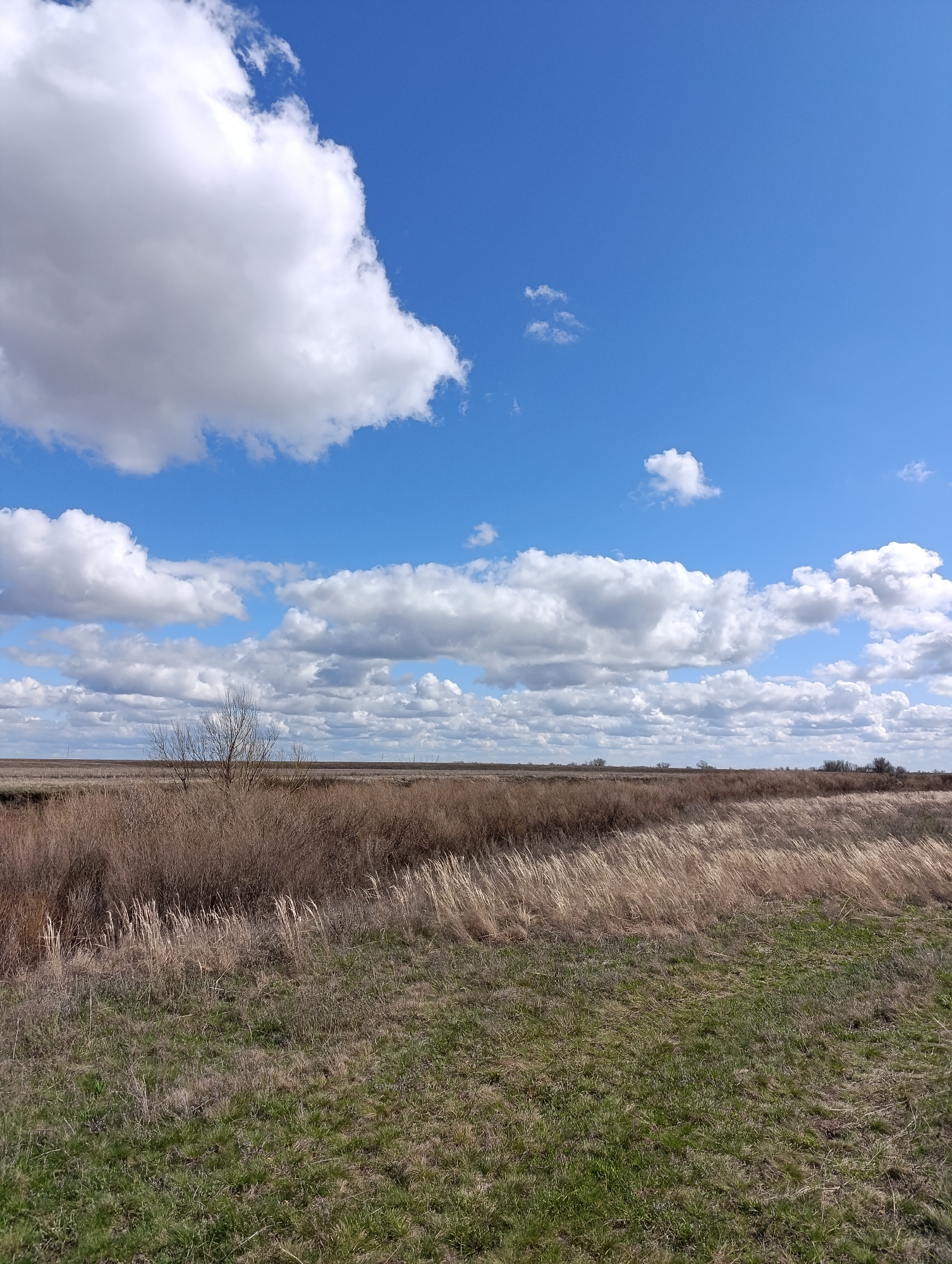Rural landscape documented in Usov, Russia under cloudy skies