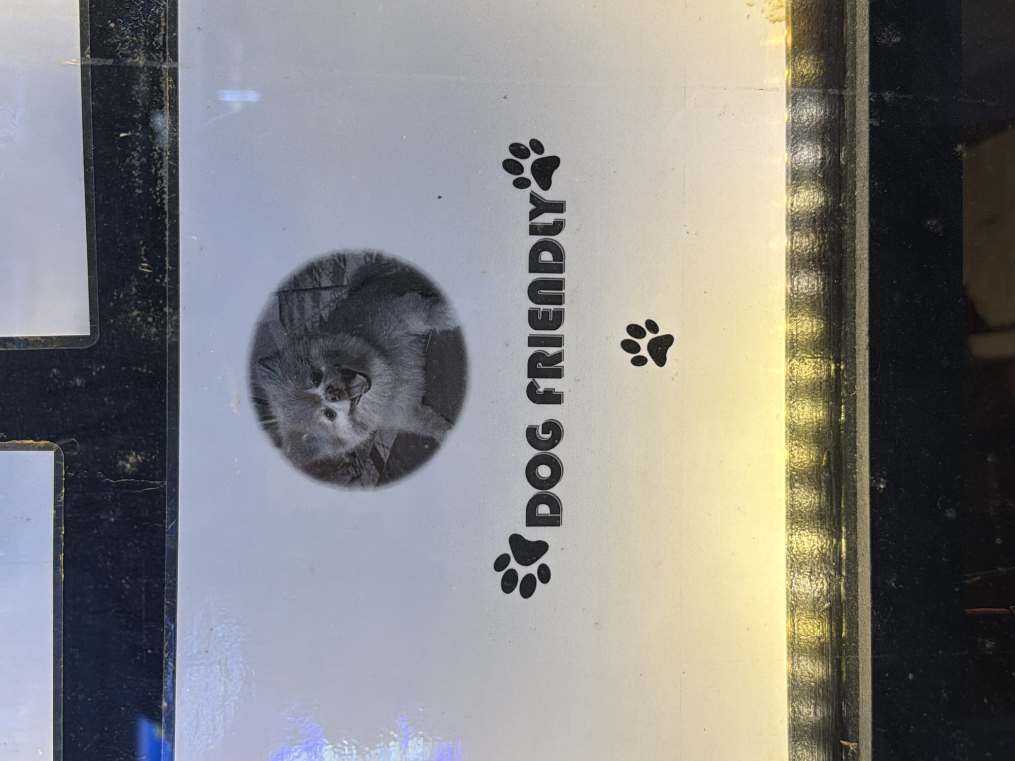 Dog-friendly signs and residential pet spotted in London