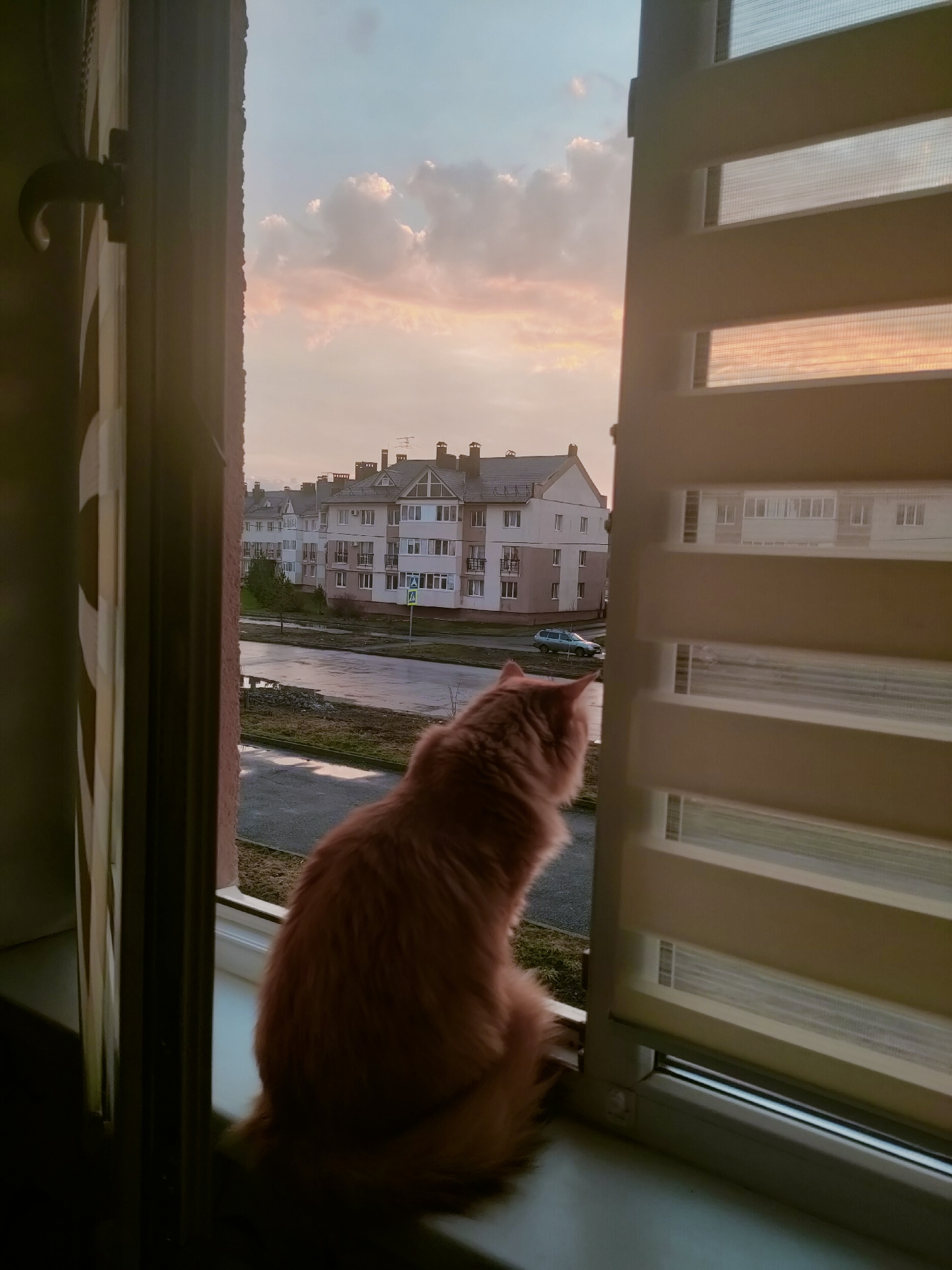Quiet afternoon moments documented across Ufa apartments