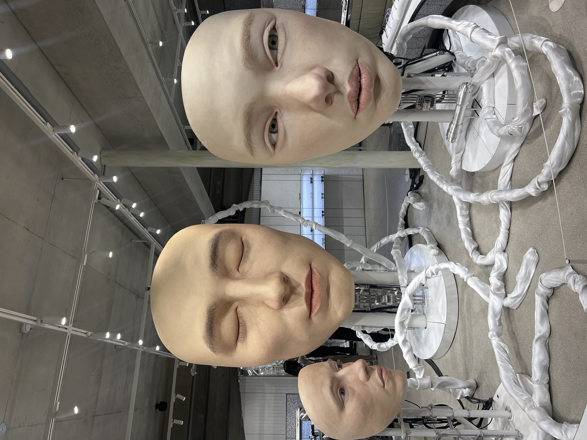 Seoul eyewear store visit captures artistic head sculptures