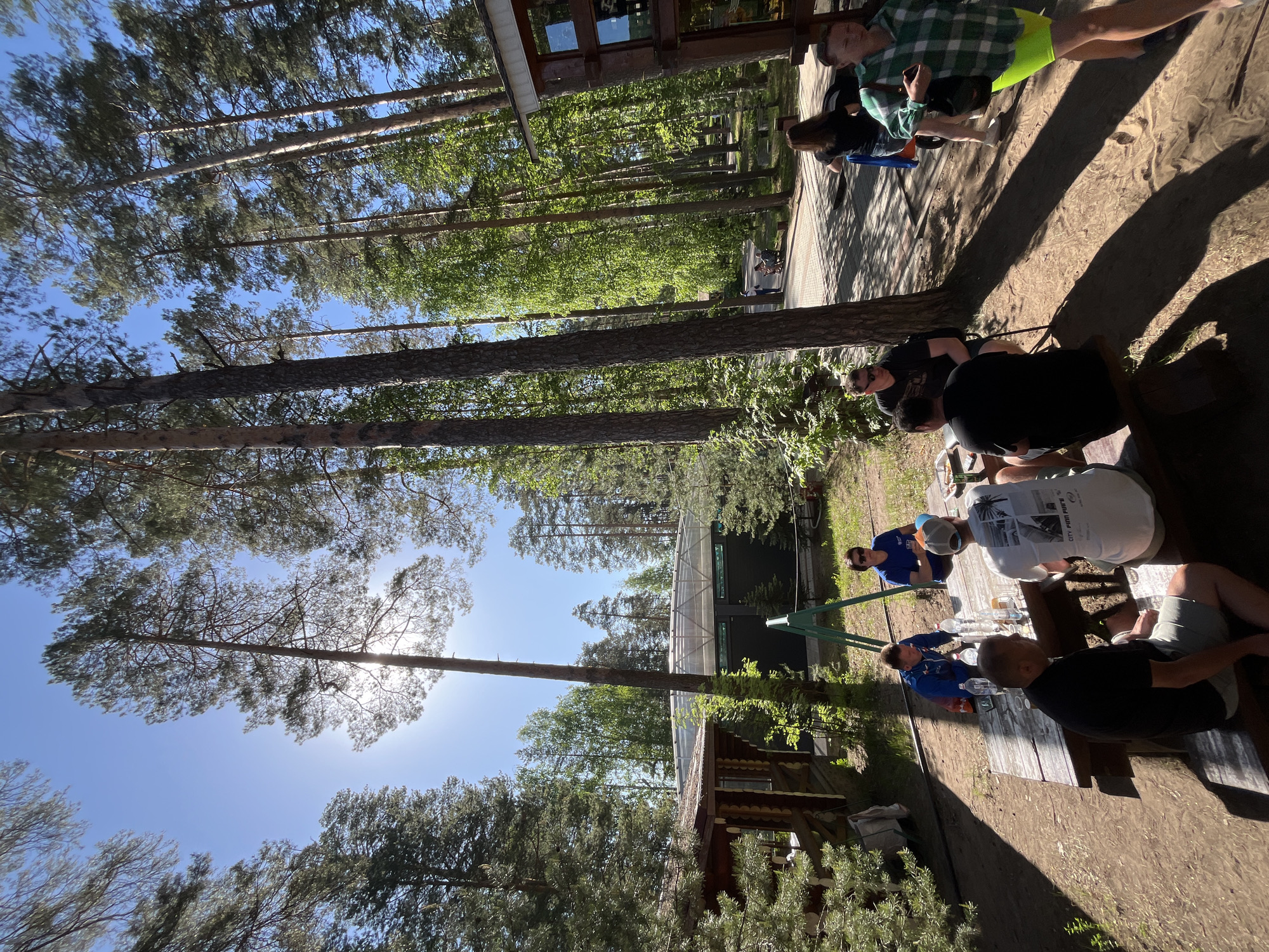 Morning recreation gathering in Chaykovsky park draws volleyball players