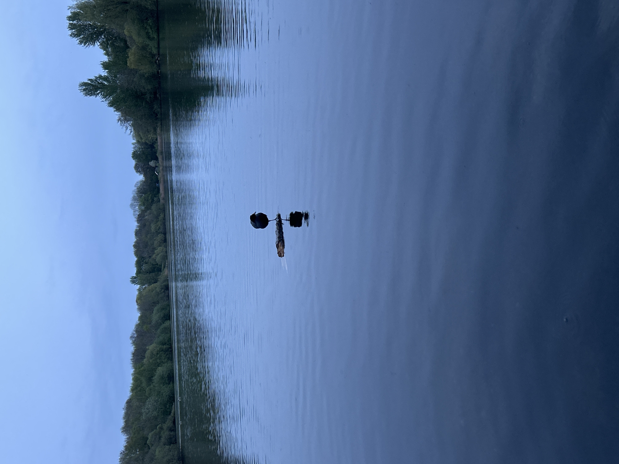 Peaceful waterway scene documented in Manchester evening