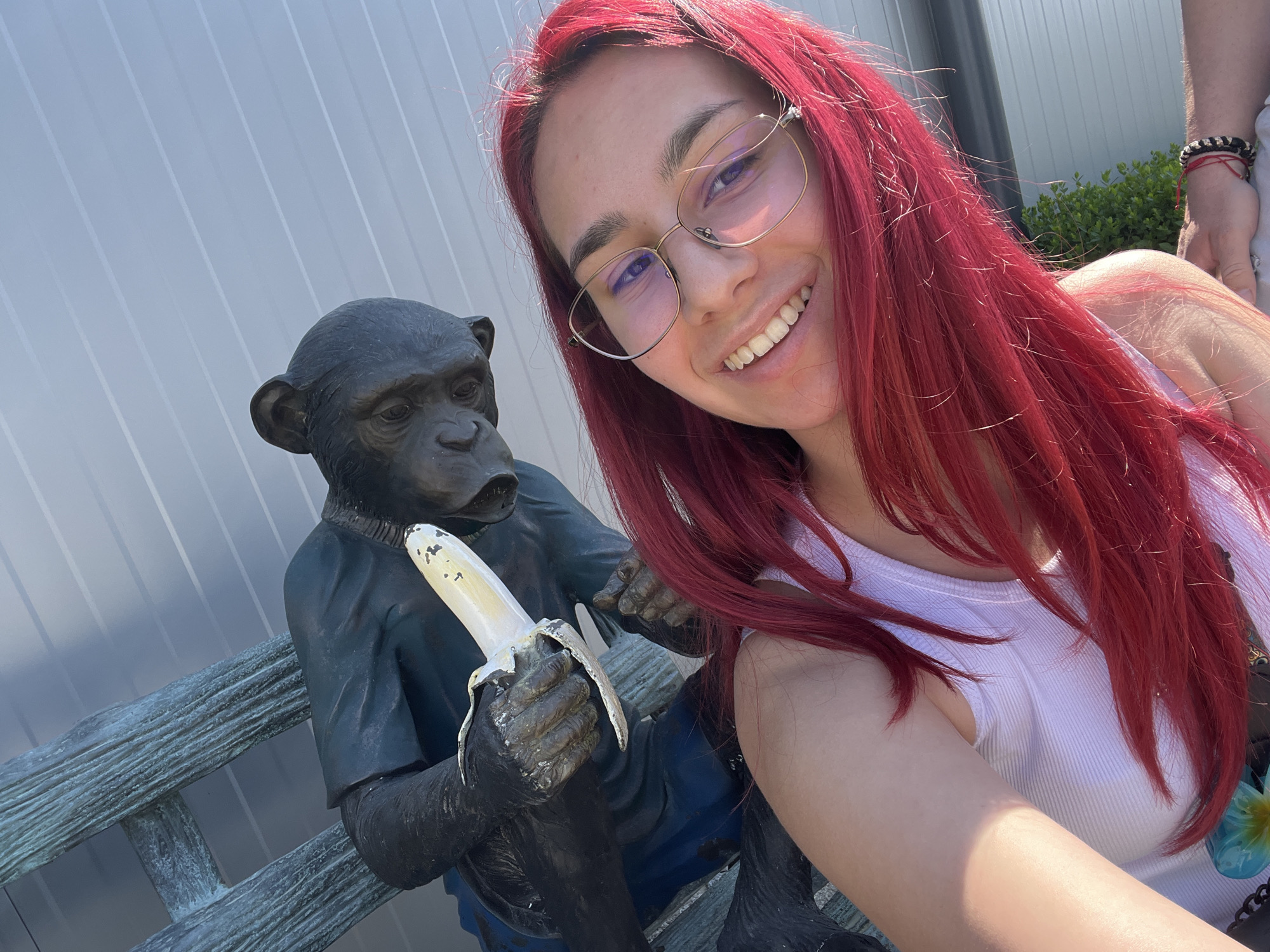 Tourists pose with whimsical monkey statues in Asenovgrad
