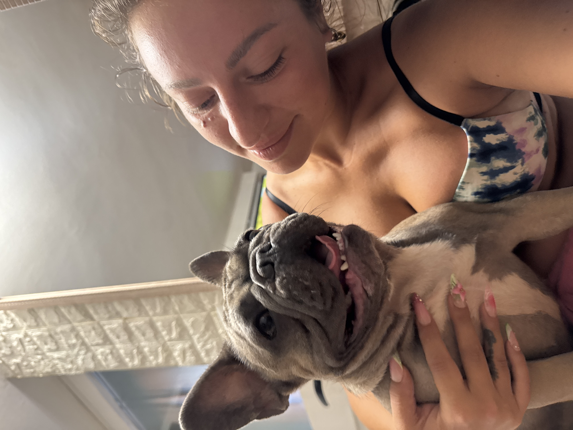 French Bulldogs living their best life in an Italian home