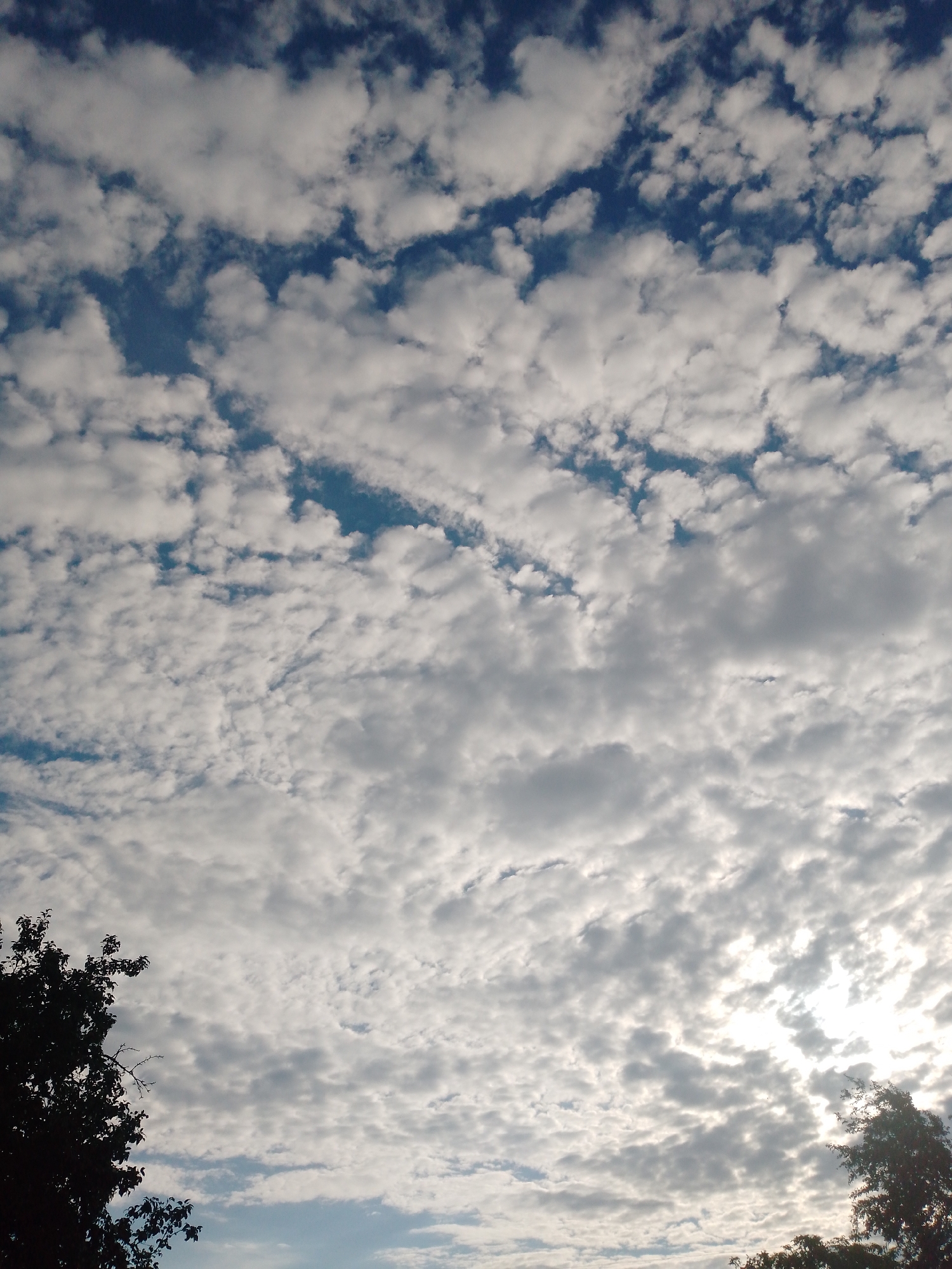 Afternoon sky watching and rural landscapes in Ustyvytsia, Ukraine