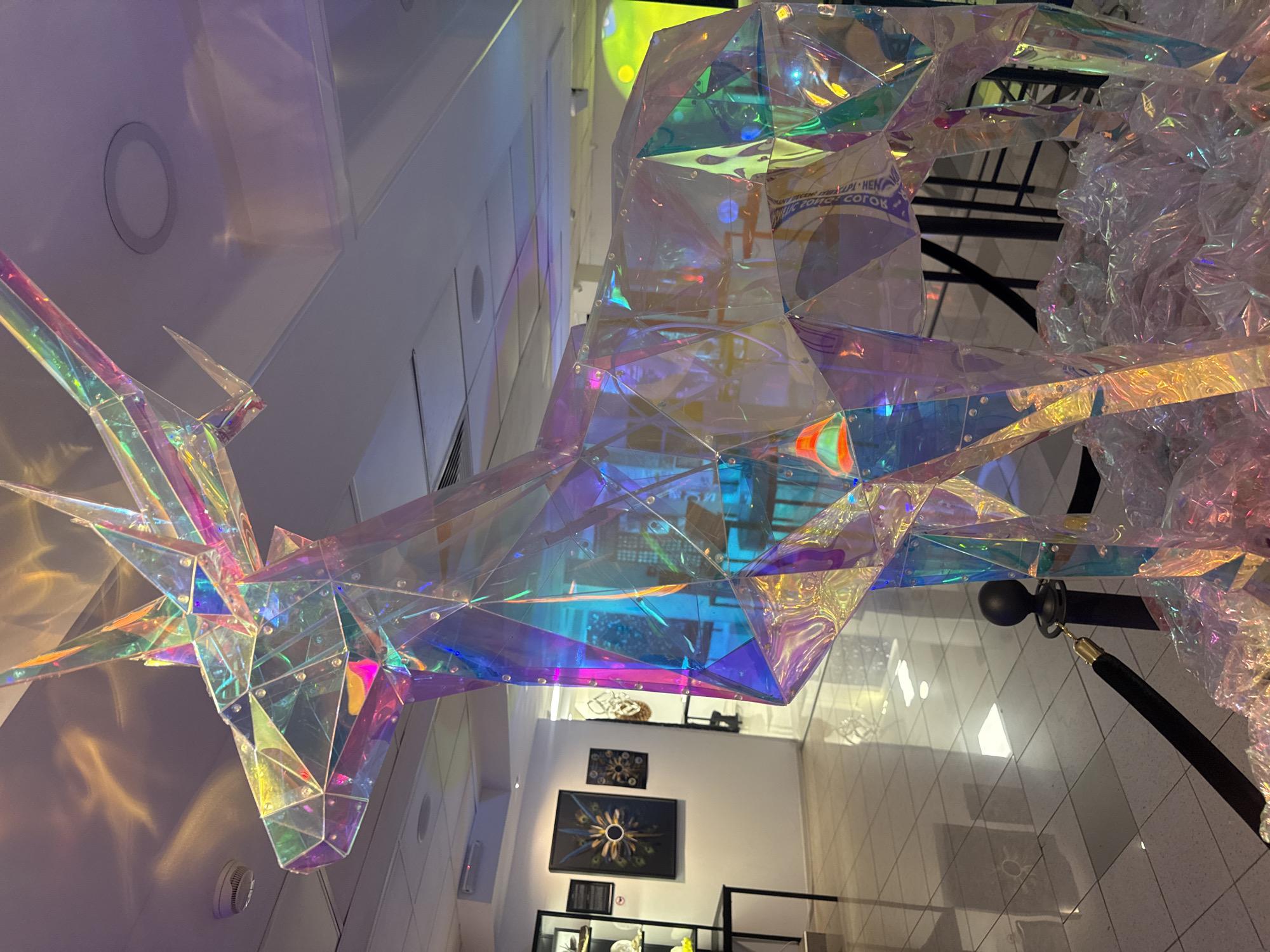 Sofia science museum exhibits documented during afternoon visit