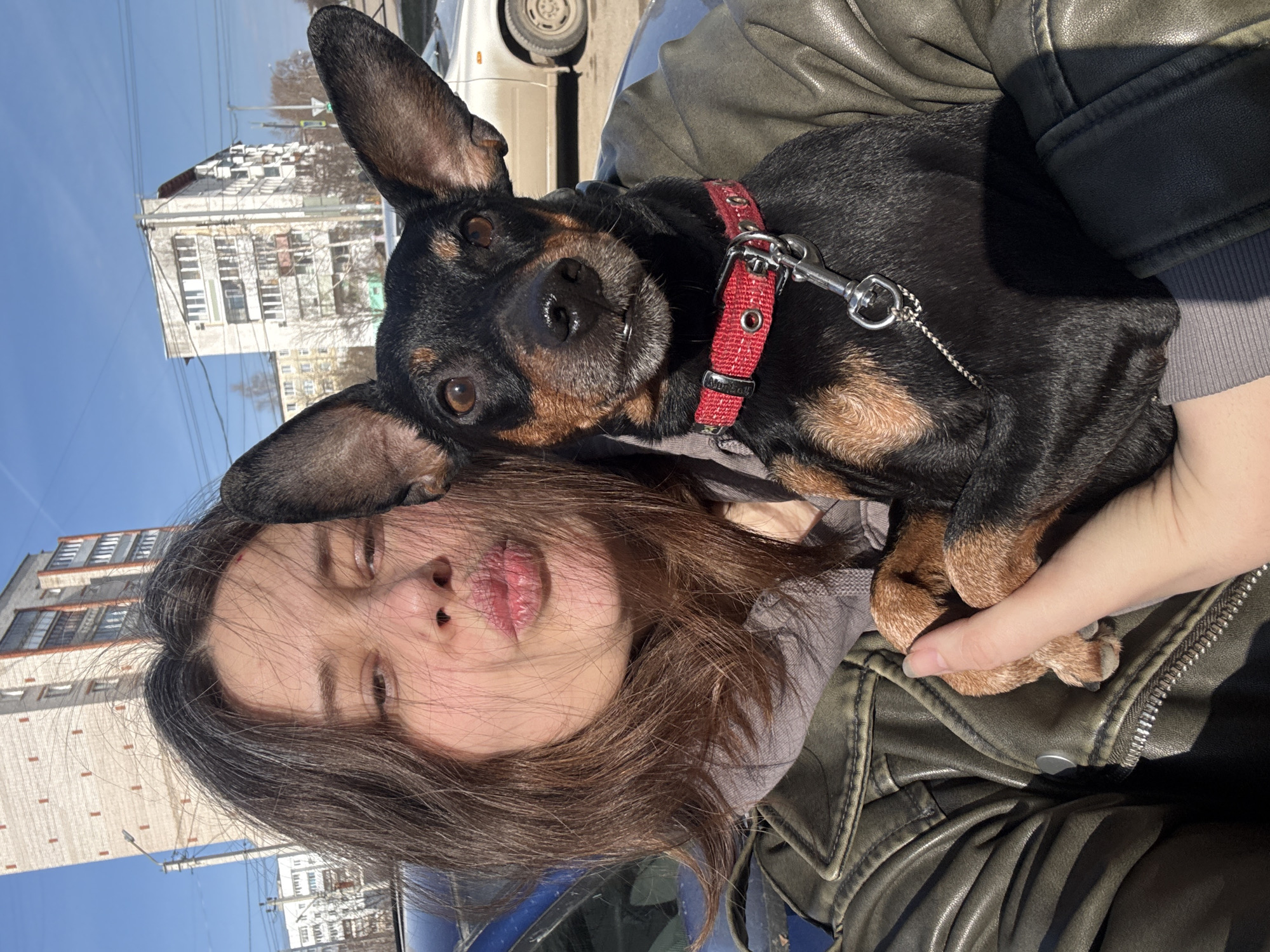Morning moments captured in Chaikovsky: woman, pets, daily life