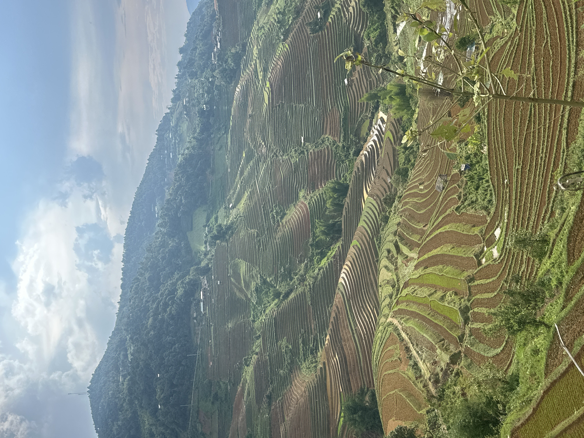 Tourist documents terraced rice fields in Lao Chai Vietnam