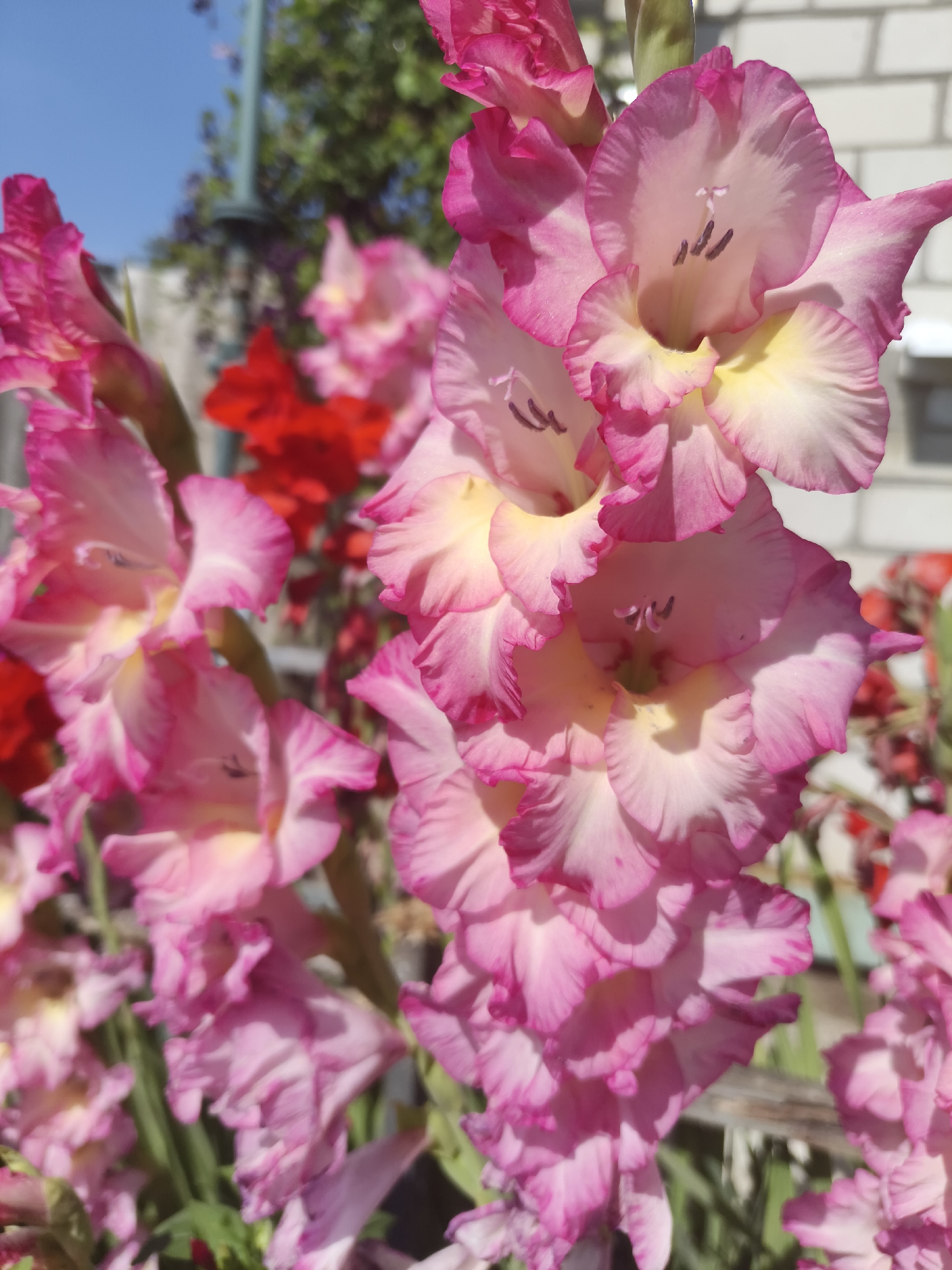 Event