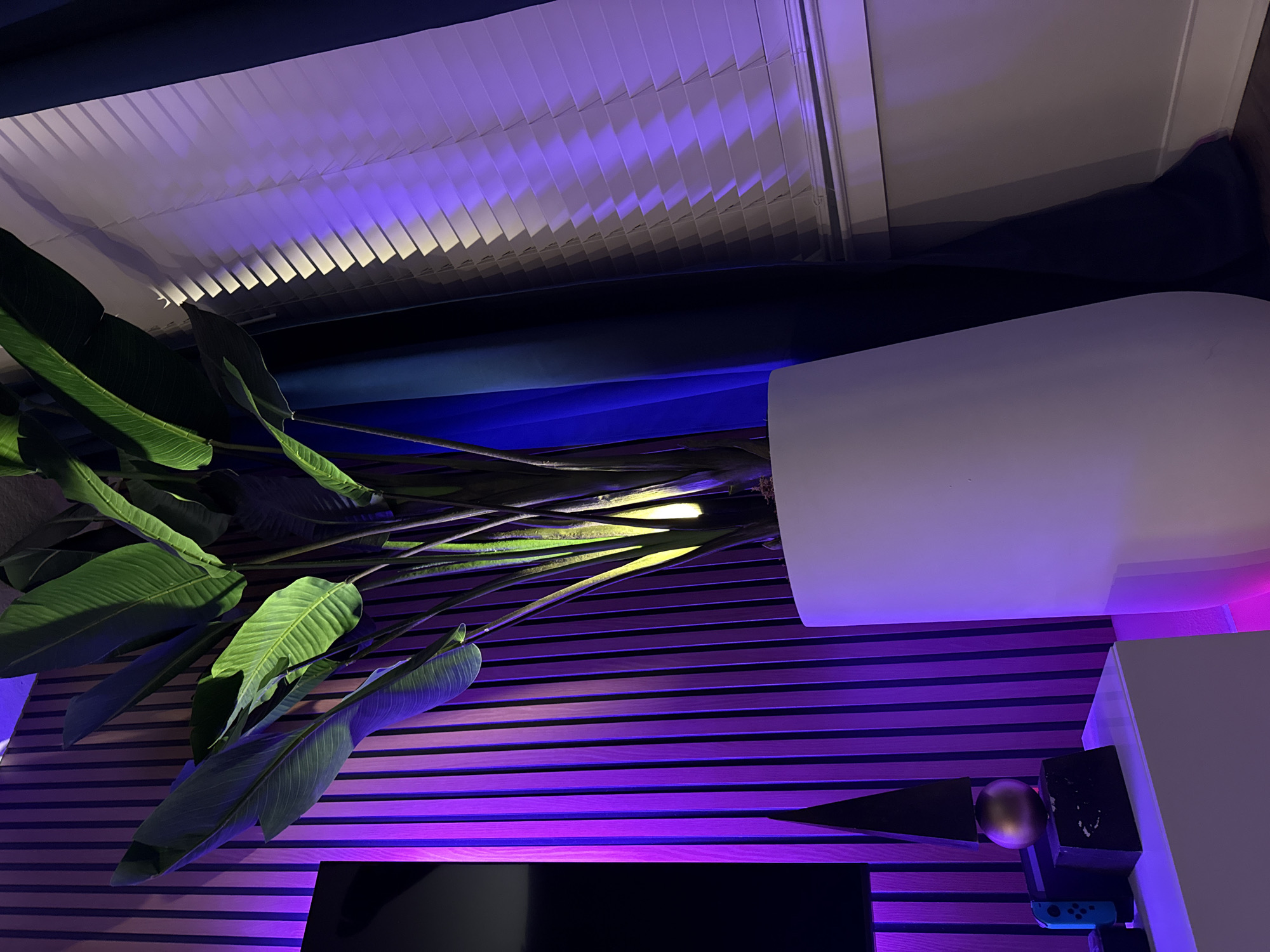 Modern home interior featuring plant decor and gaming setup