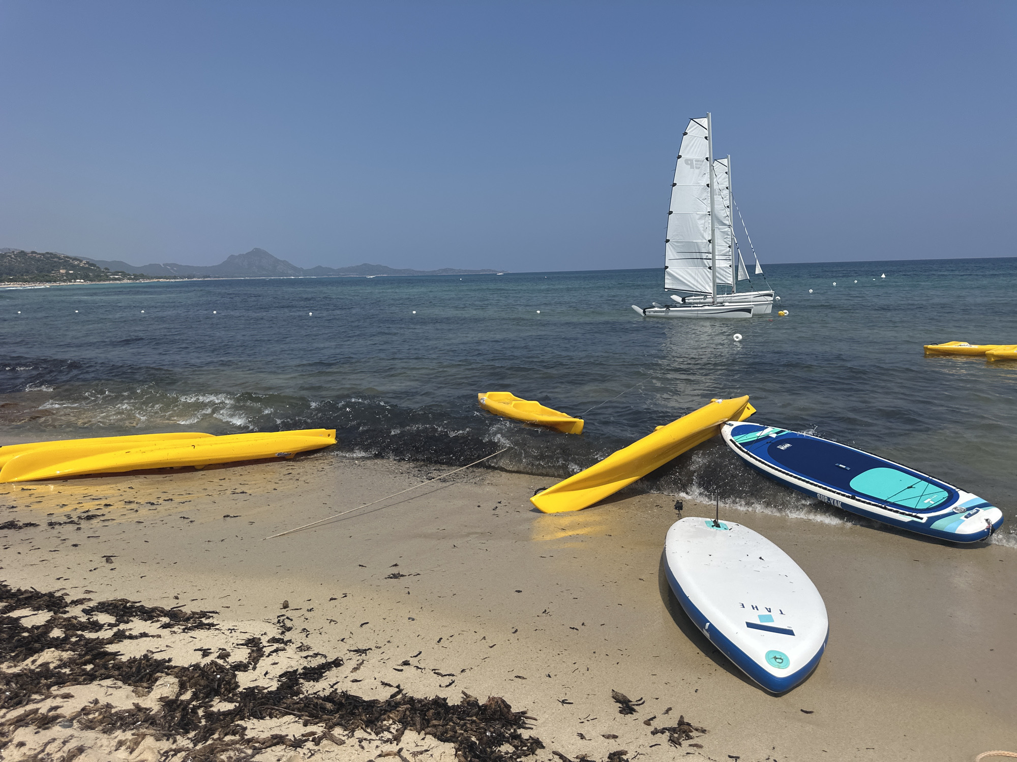Sunny beach day in Castiadas with fish feeding in clear shallows