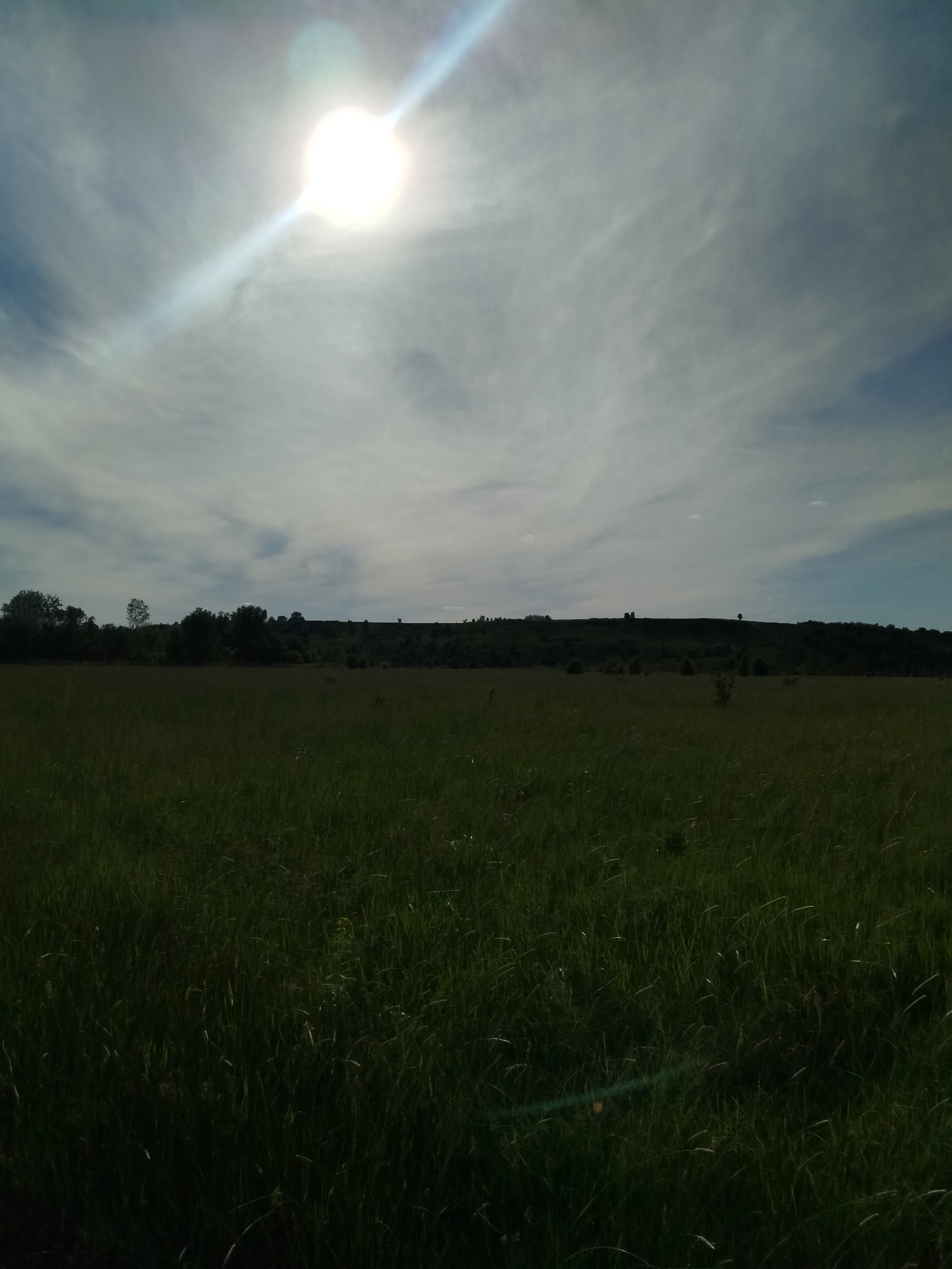 Person documents afternoon countryside walk near Ustyvytsya, Ukraine meadows