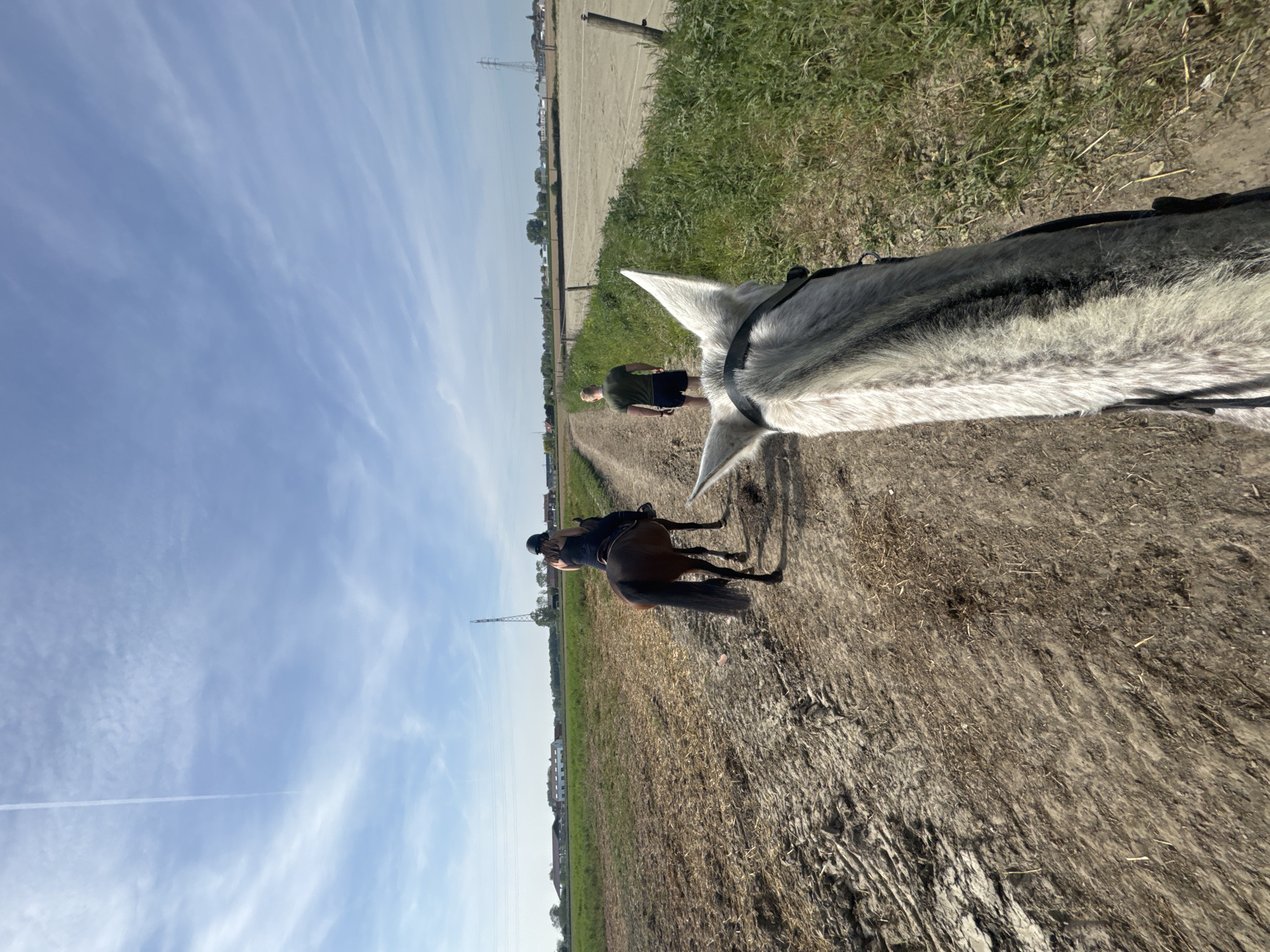 Horseback riders traverse dirt trail in Belgian countryside