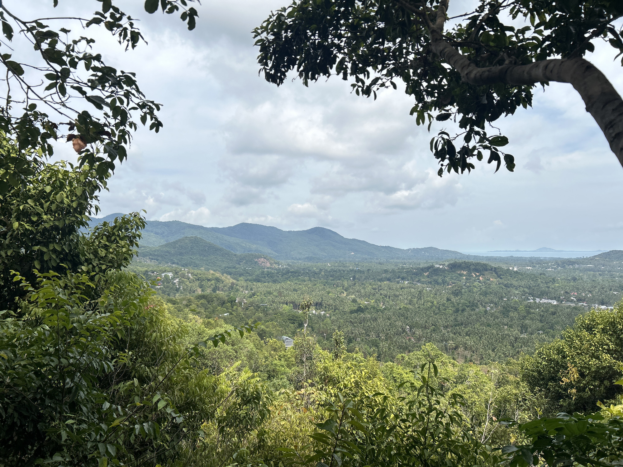 Morning landscape views captured from elevated position in Thailand