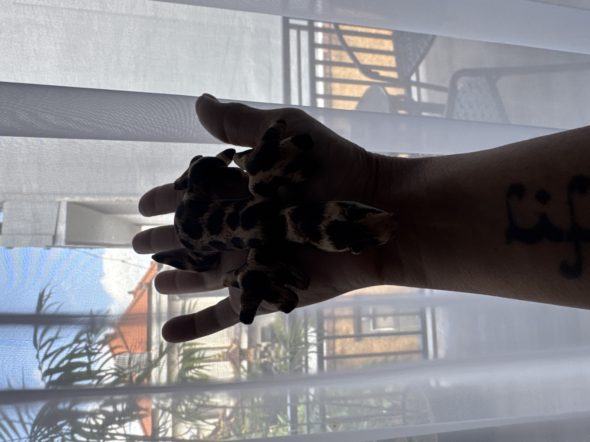 Tourist documents morning routine in Kuta hotel room