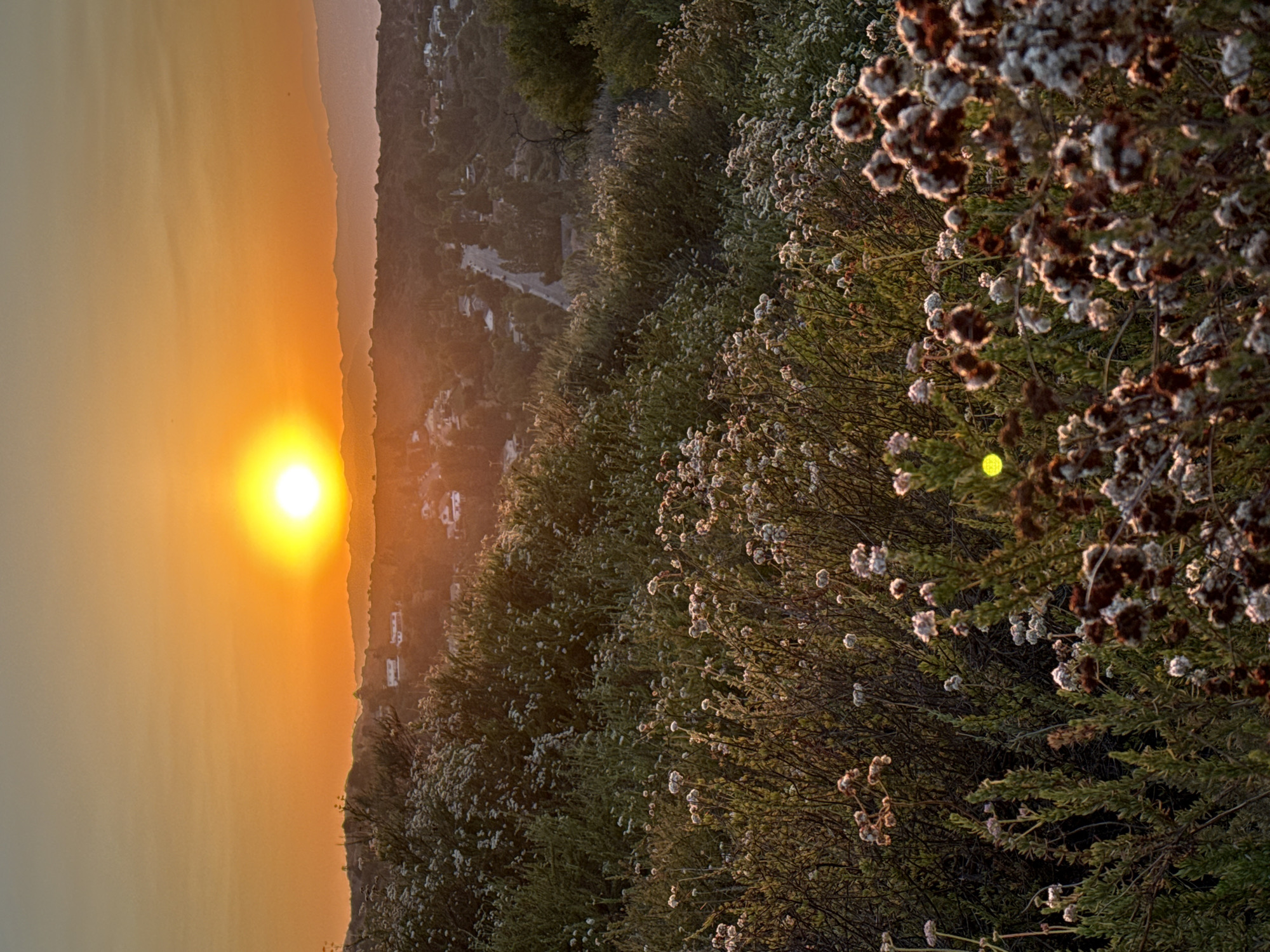 LA hillside sunset, multiple angles, golden hour