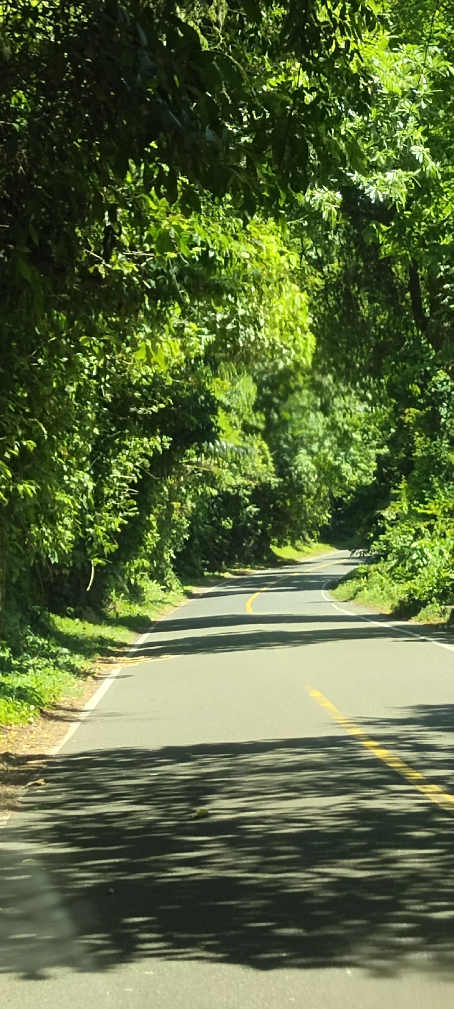 Tropical coastal road and ocean views in Meudheun, Indonesia