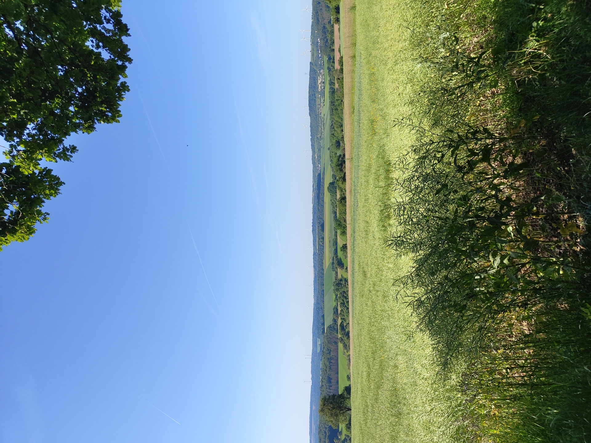 Morning countryside walk documented in rural Mettlach, Germany