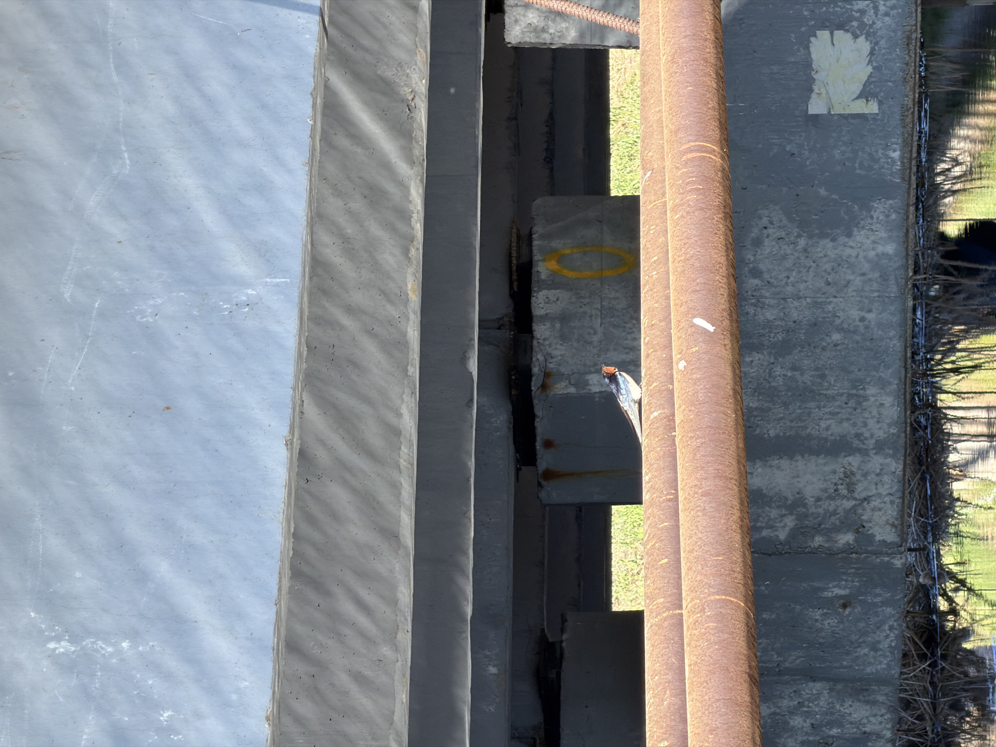 Bridge infrastructure documented in early morning Izhevsk observation