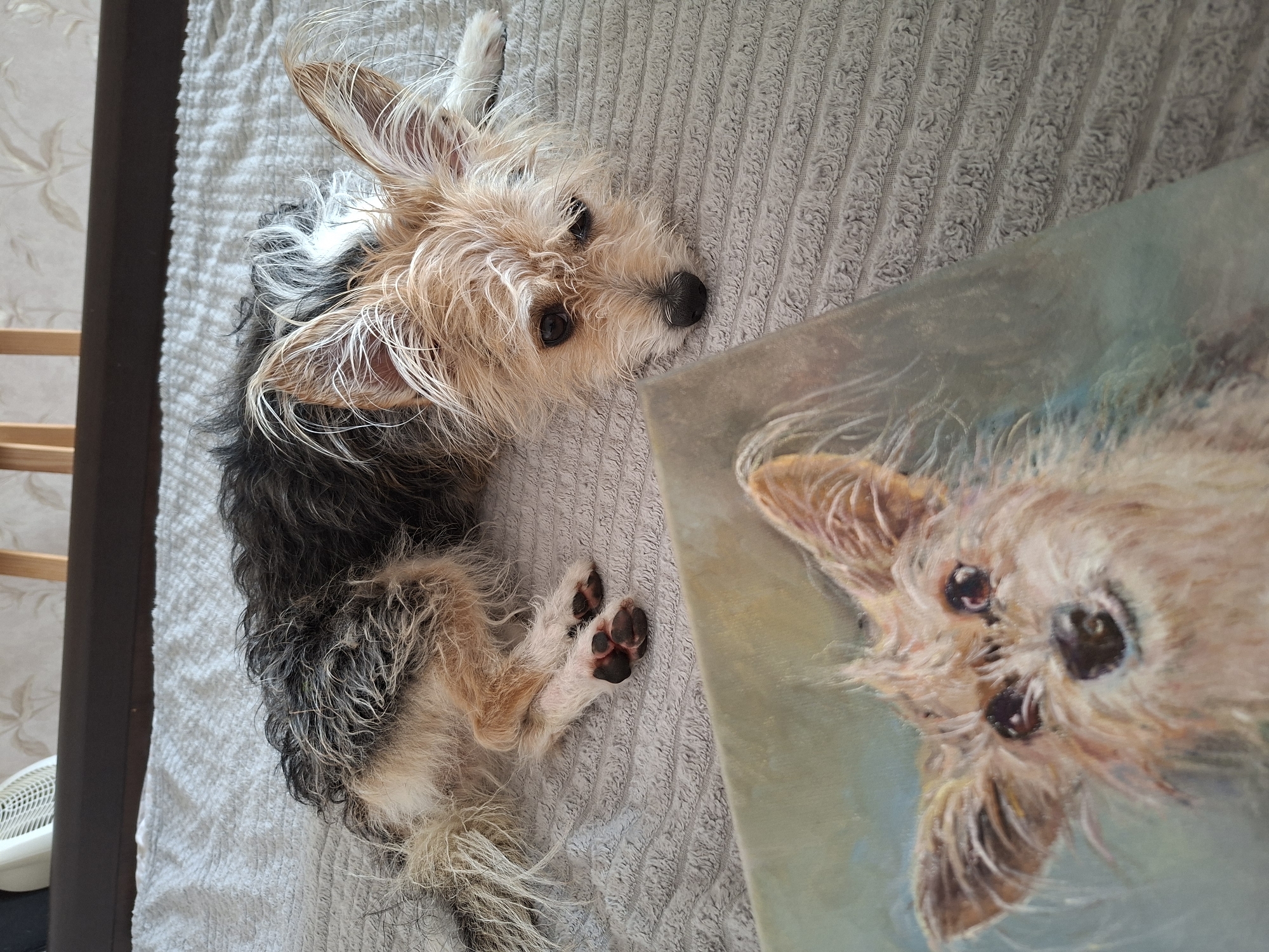Kaliningrad home studio morning with a dog and artwork