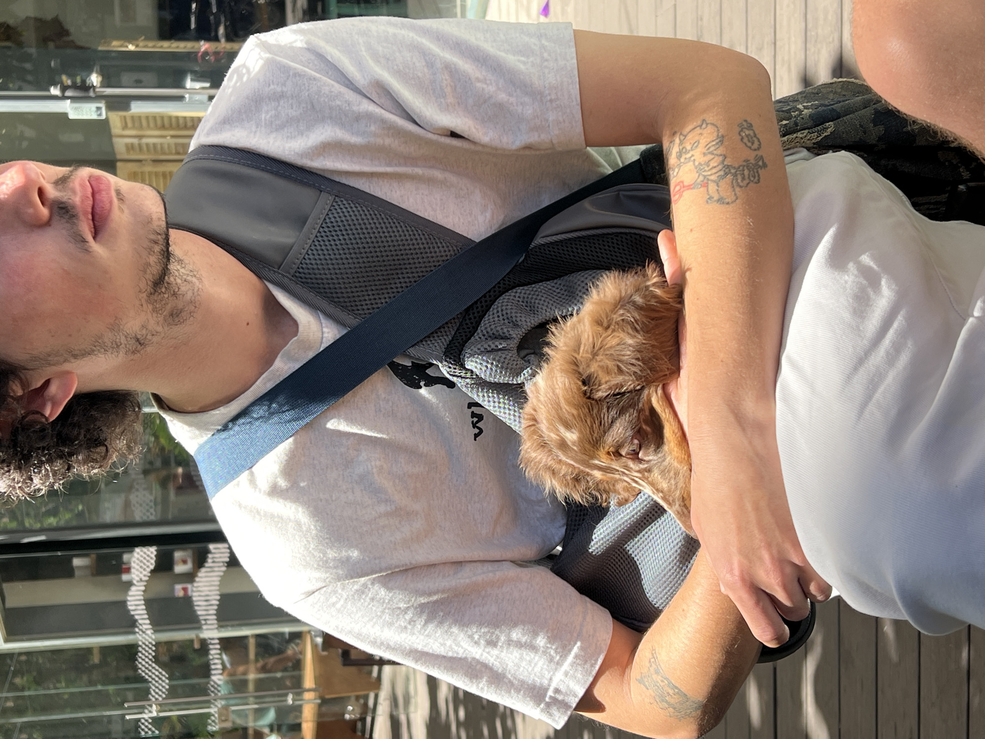 Man carries Dachshund puppy during sunny Tel-Aviv outing