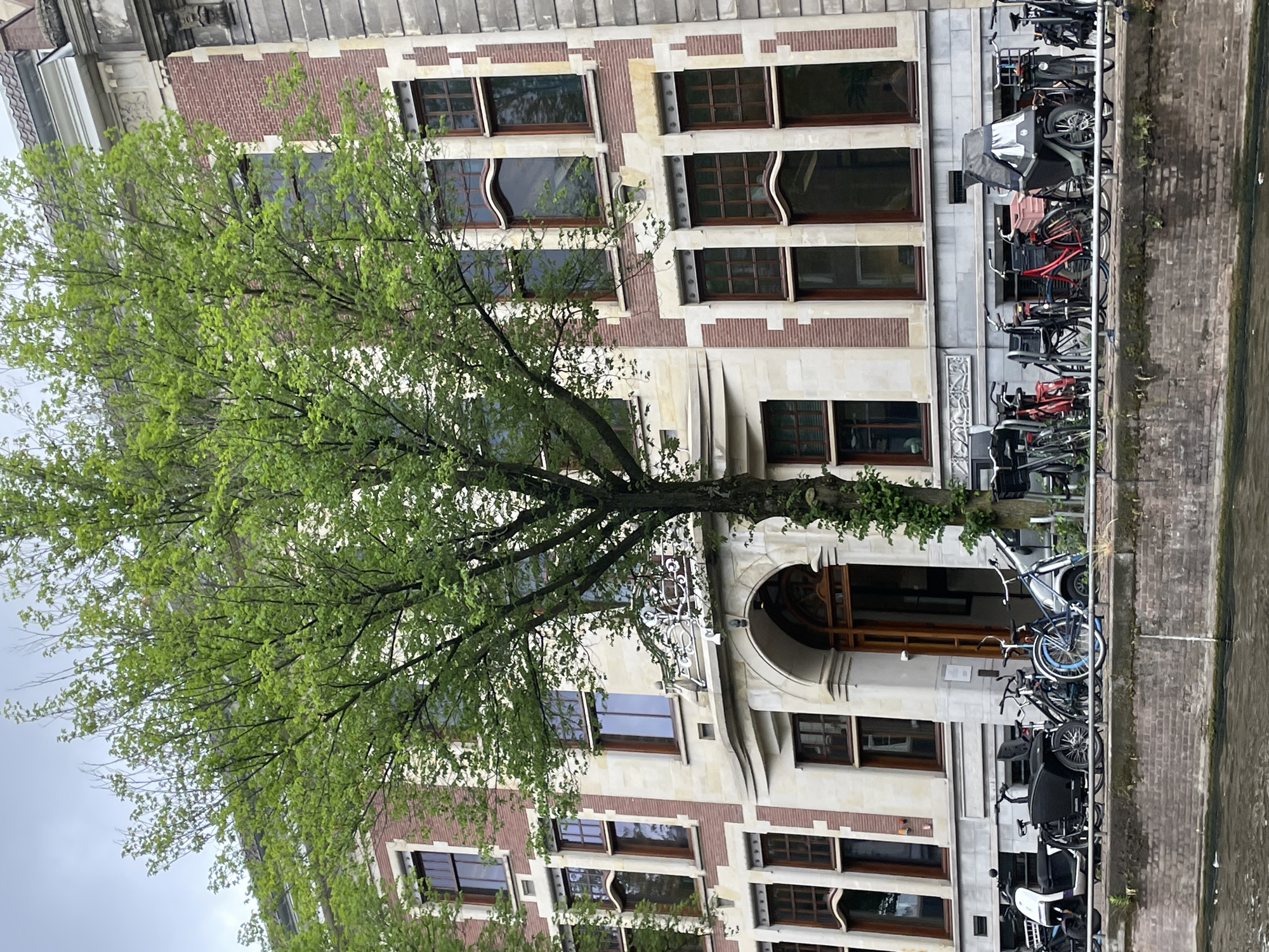 Morning canal scenes documented across Amsterdam's historic districts