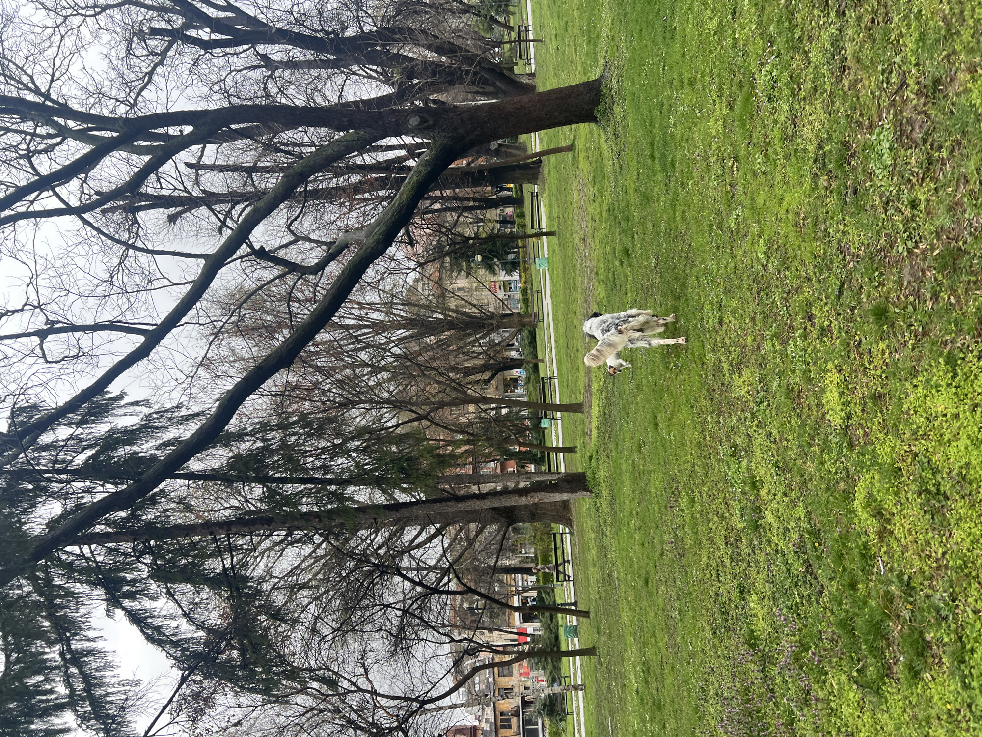 Park scenes documented in central Plovdiv during overcast afternoon