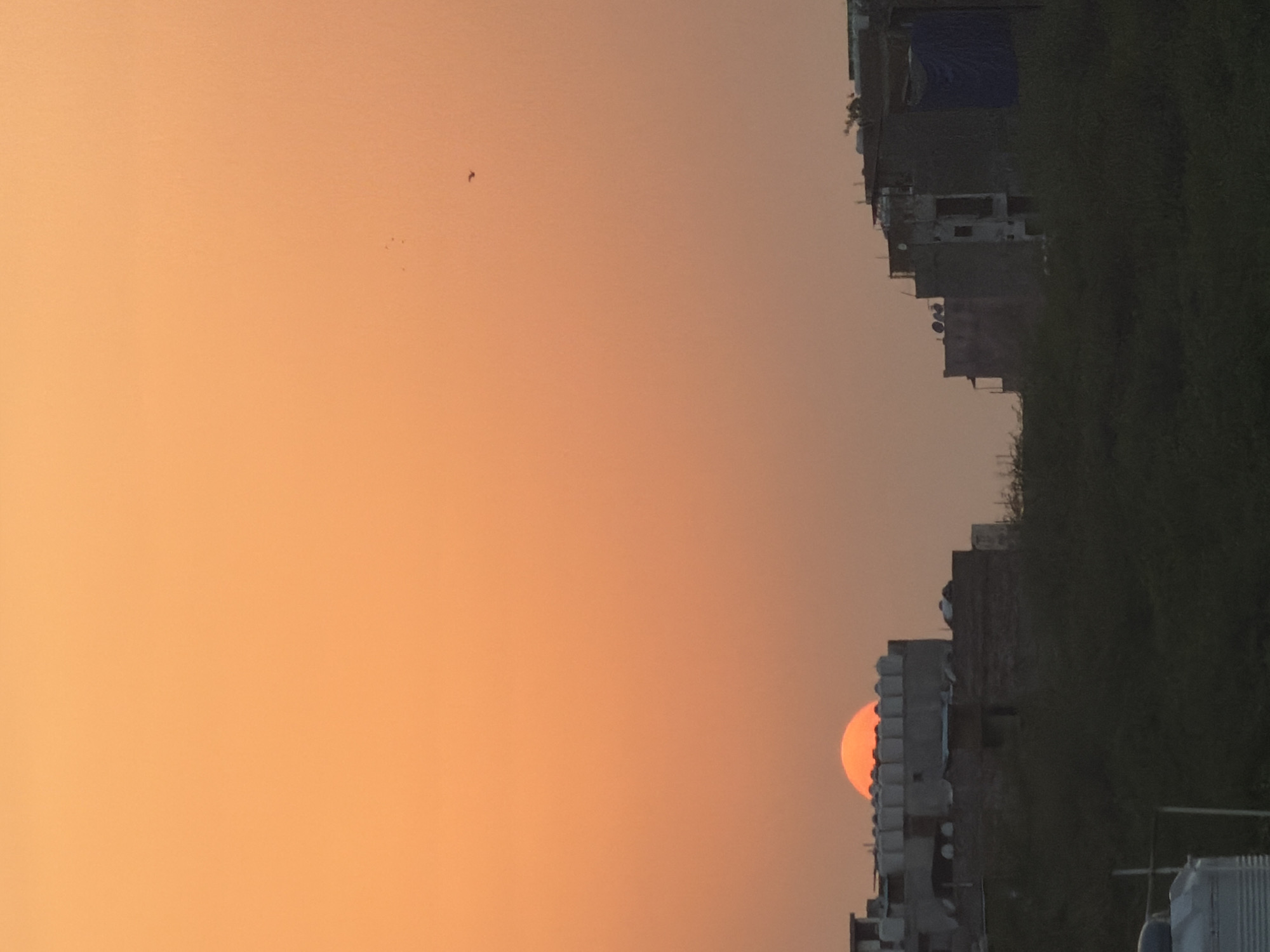 Delhi rooftop life captured during sunset with Qutub Minar views
