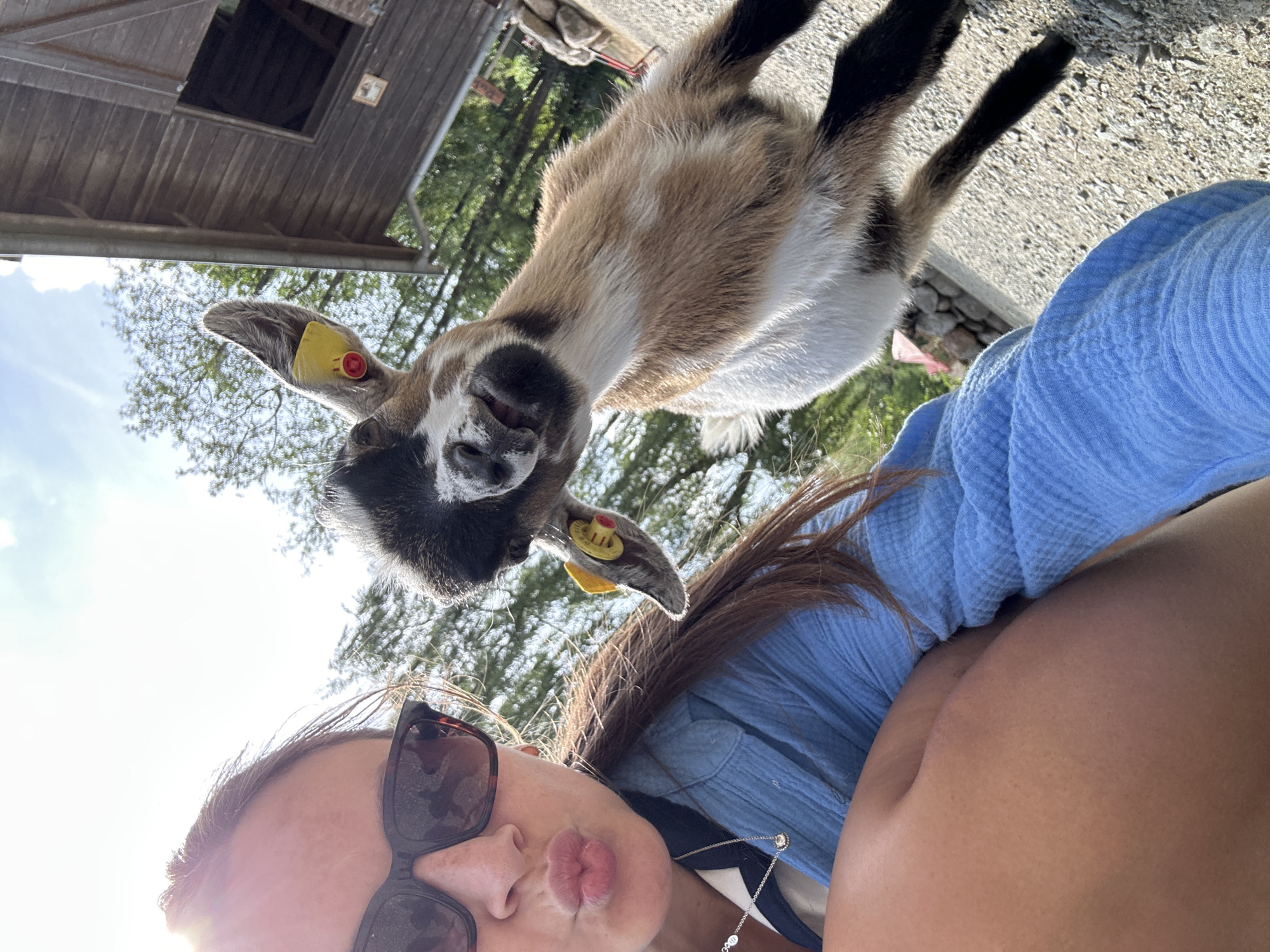 Visitor documents petting zoo experience in Wassermühle, Germany