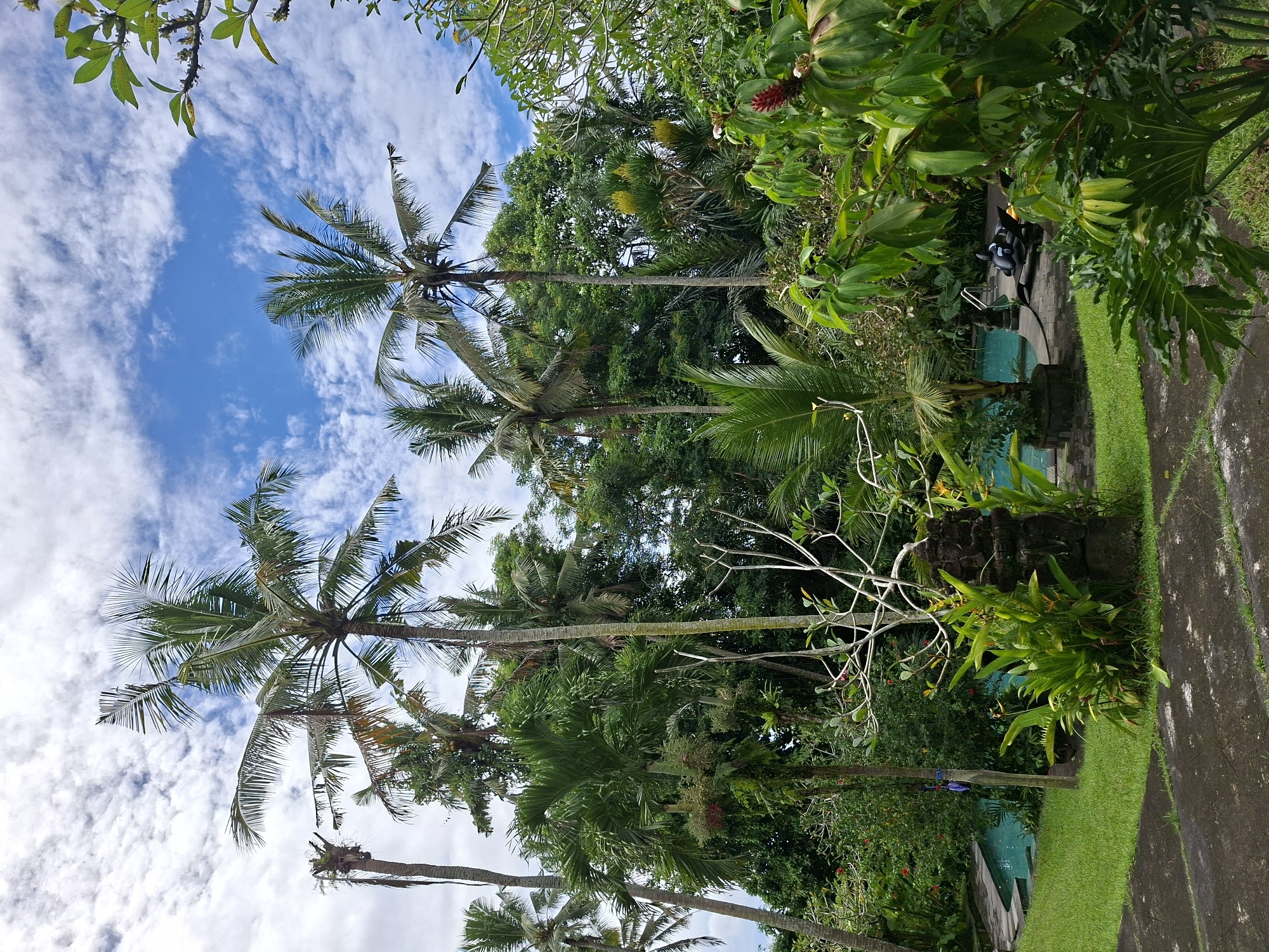 Tropical garden moments captured in Ubud, Indonesia