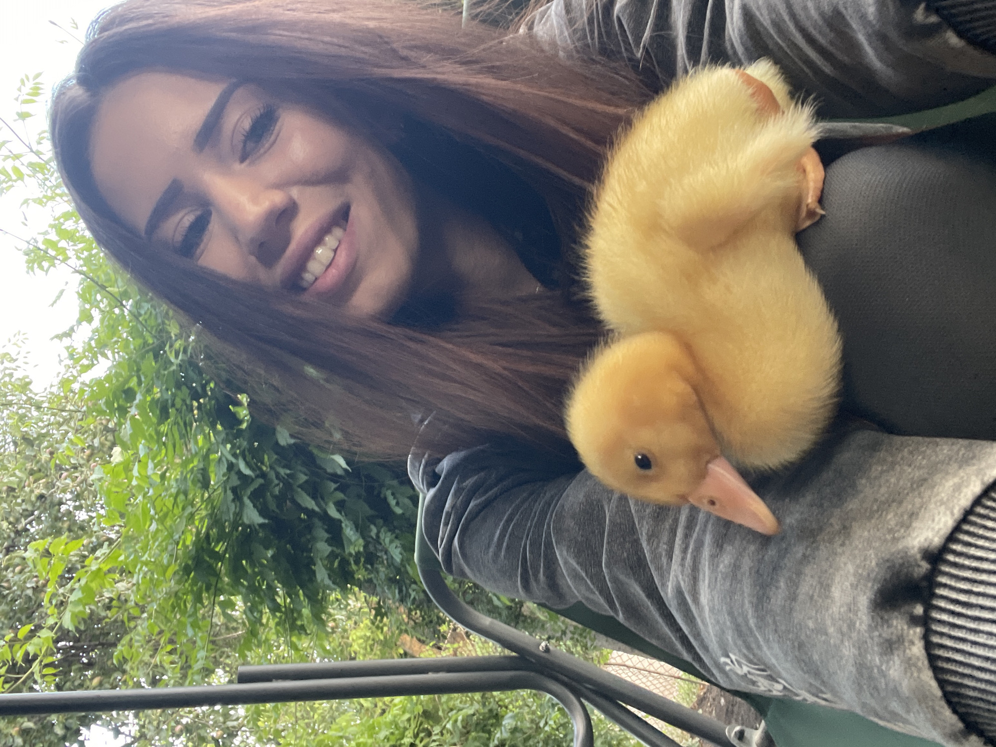 Afternoon with a fluffy duckling, a hamster, and good vibes
