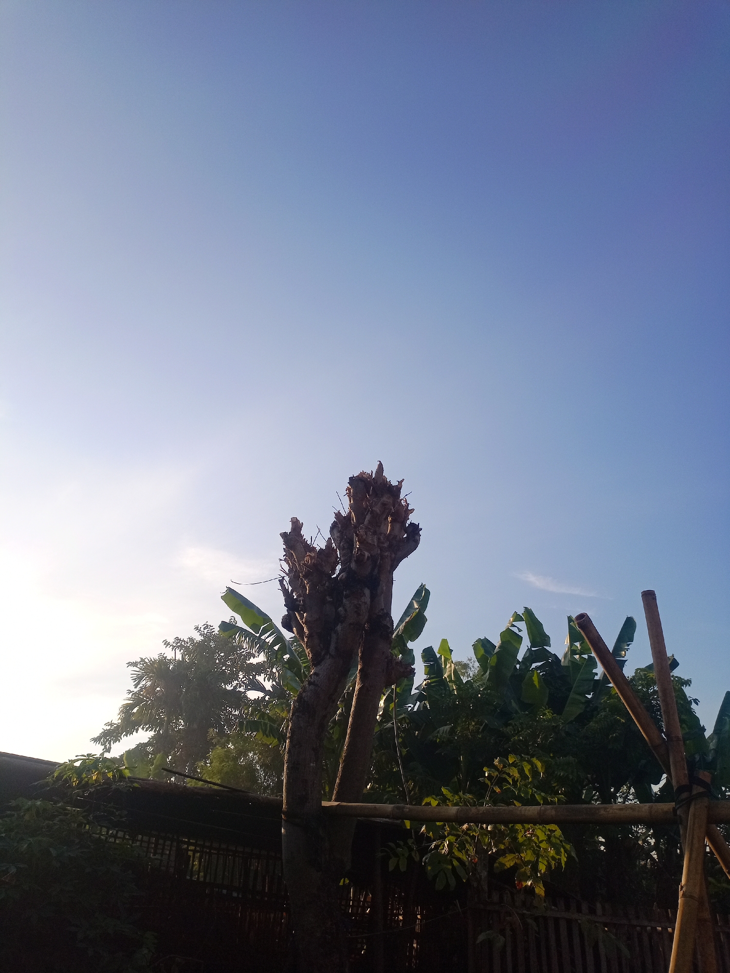 Margoyoso, Indonesia